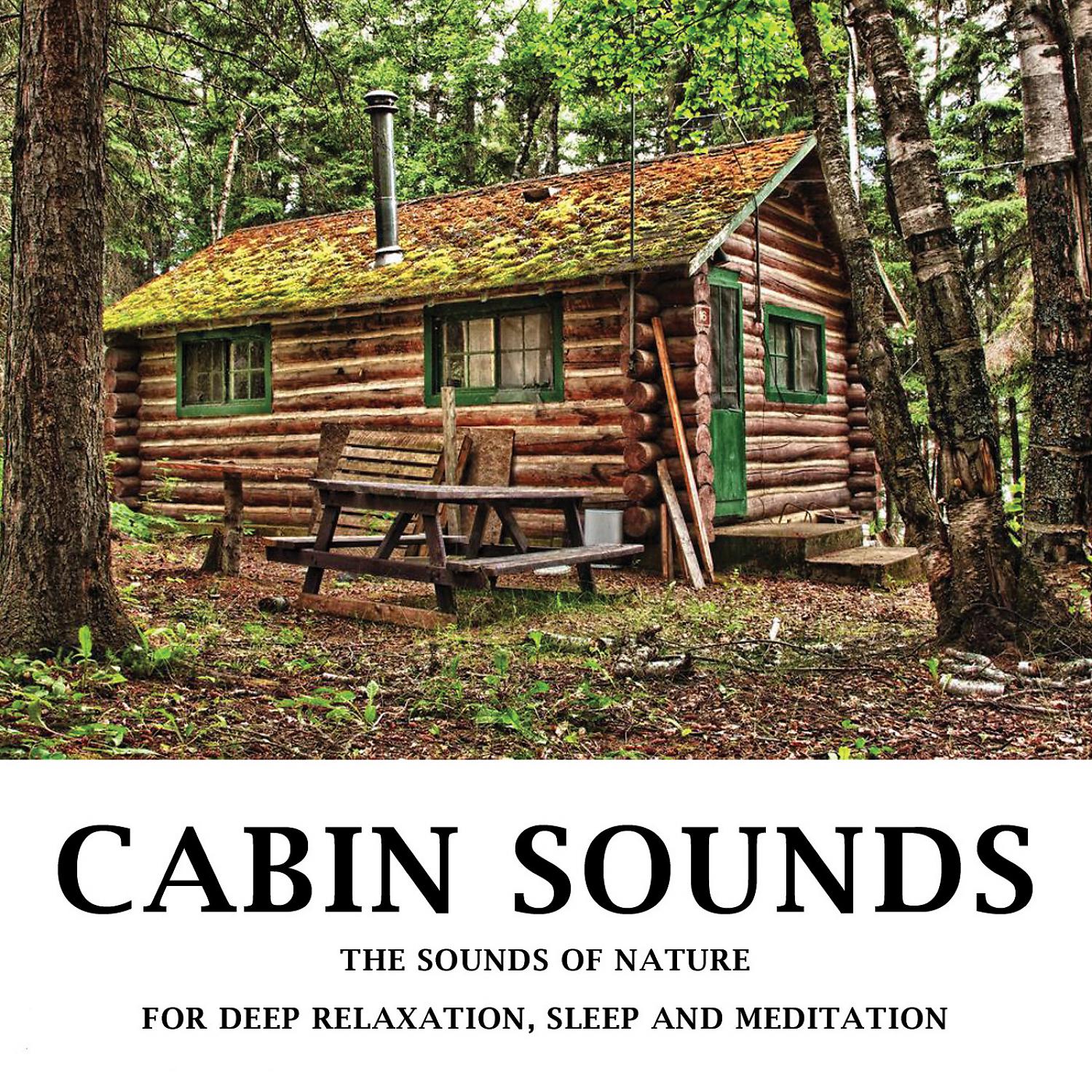 Постер альбома Cabin Sounds - The Sounds Of Nature