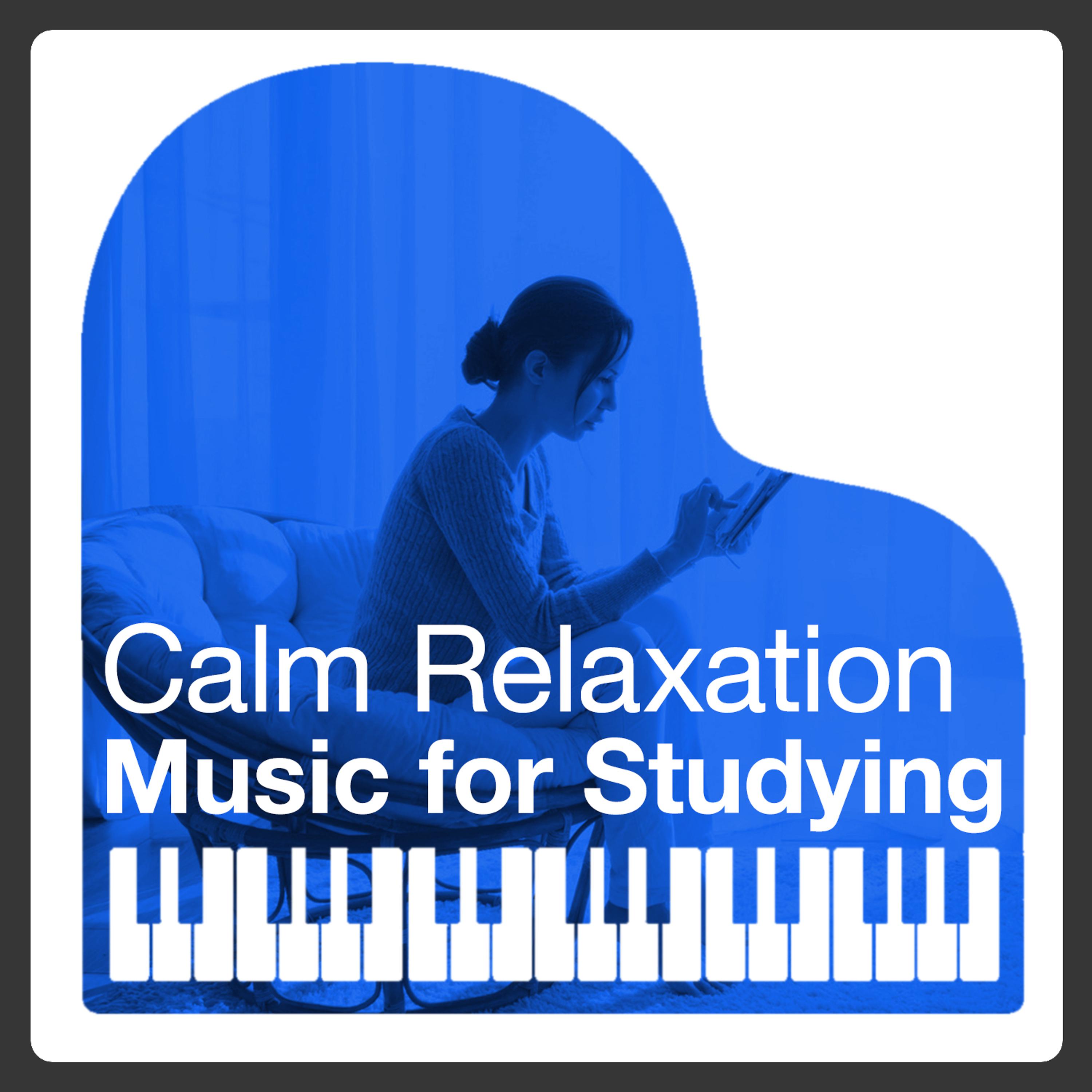 Постер альбома Calm Relaxation Music for Studying