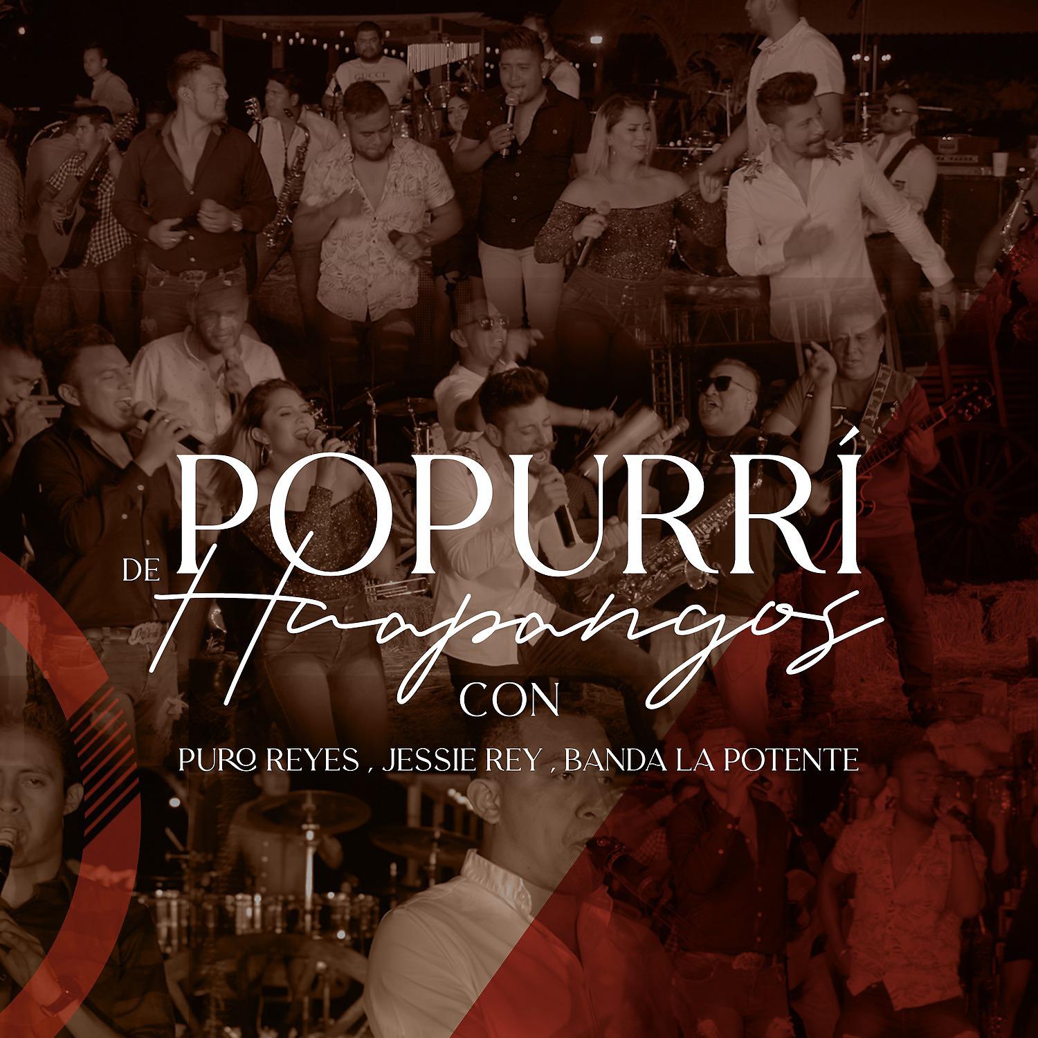 Постер альбома Popurrí de Huapangos