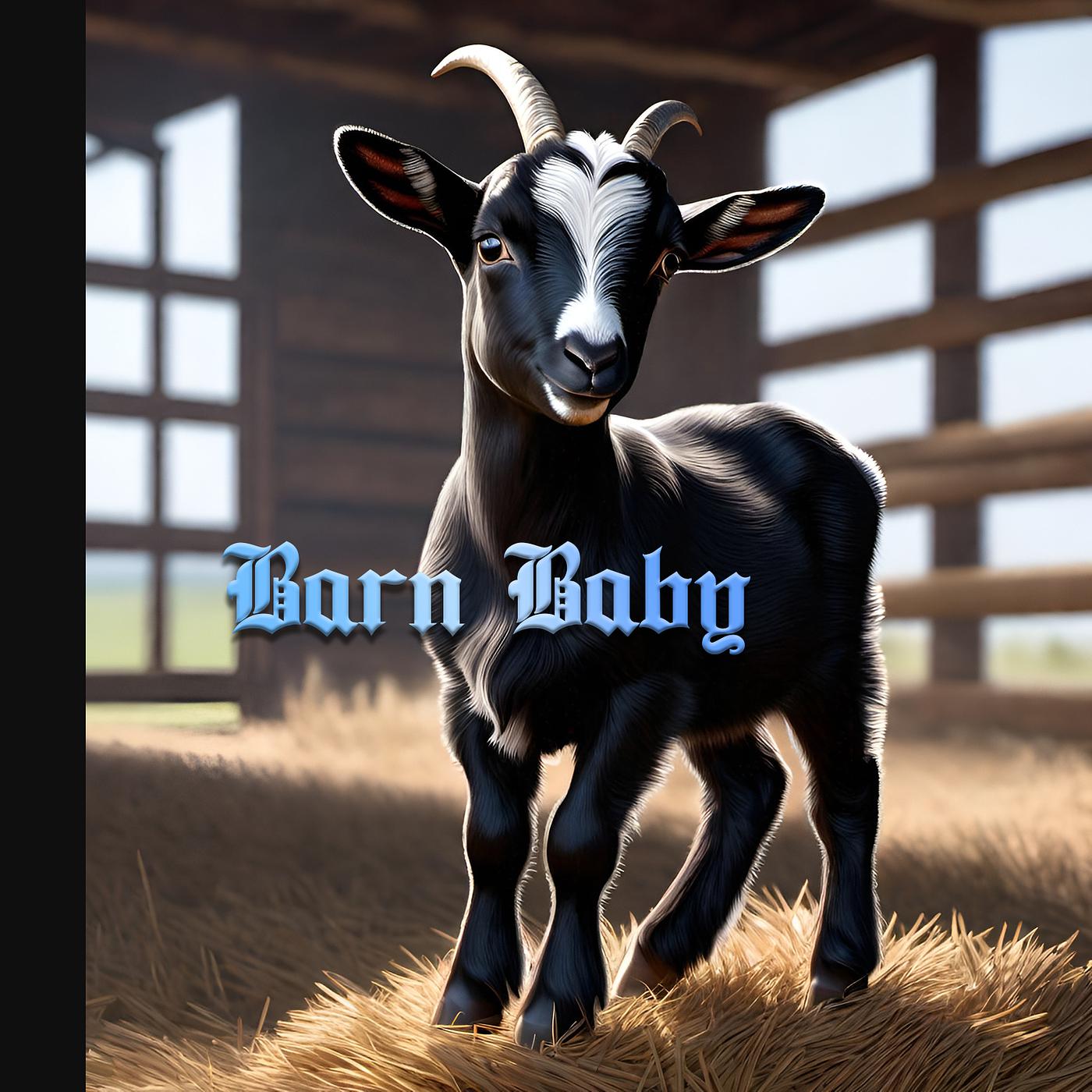 Постер альбома Barn Baby