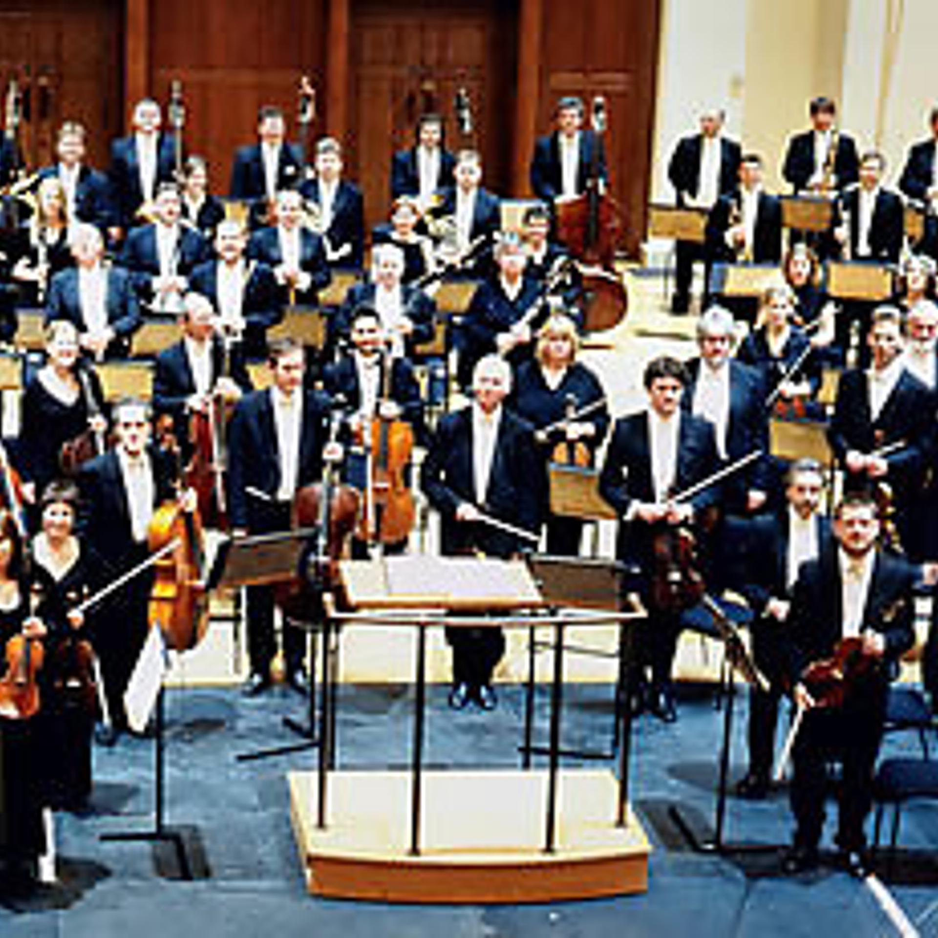 The Royal Philharmonic Orchestra/Tolga Kashif - фото
