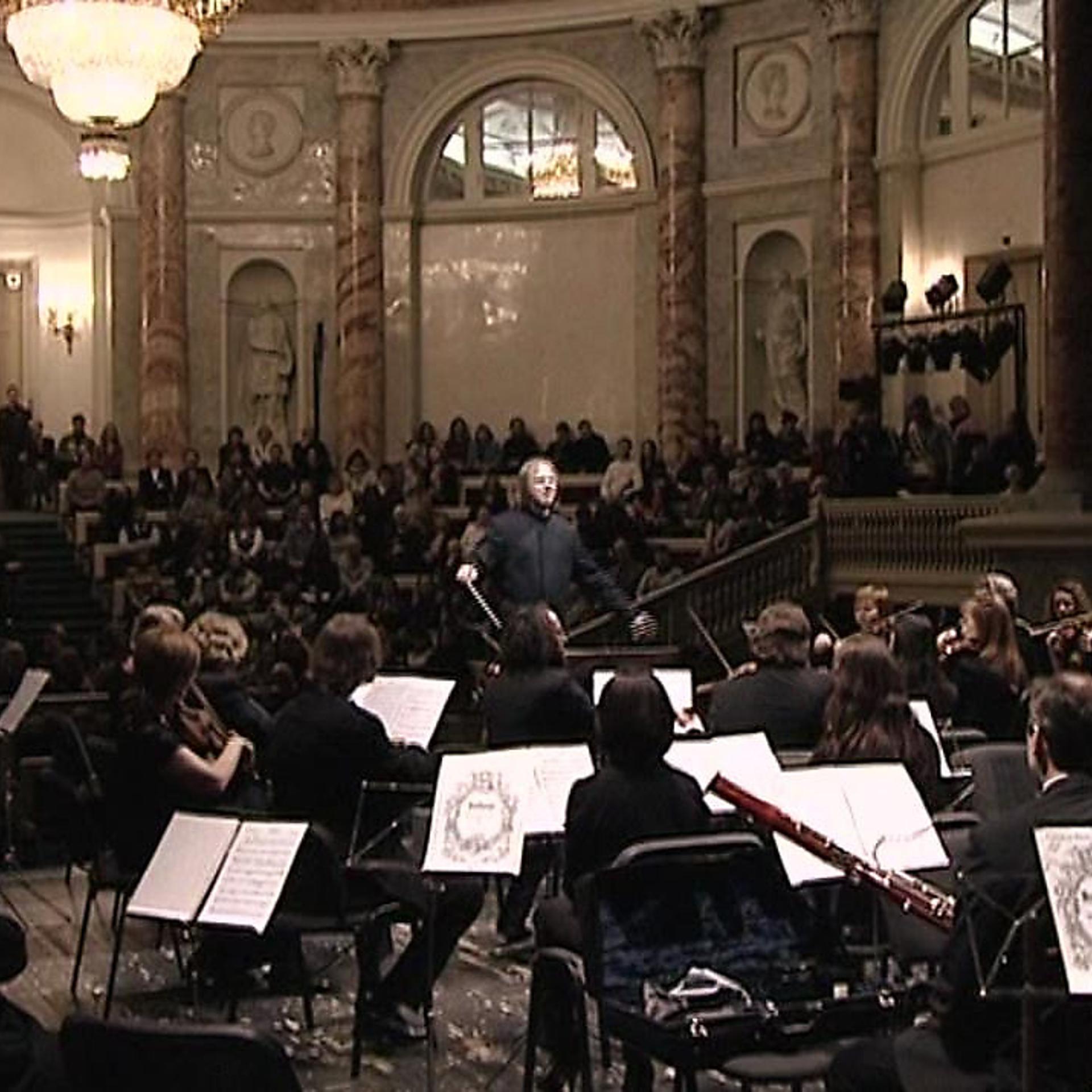 St. Petersburg Orchestra of the State Hermitage Museum Camerata - фото
