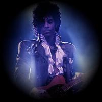 Prince & The Revolution - фото