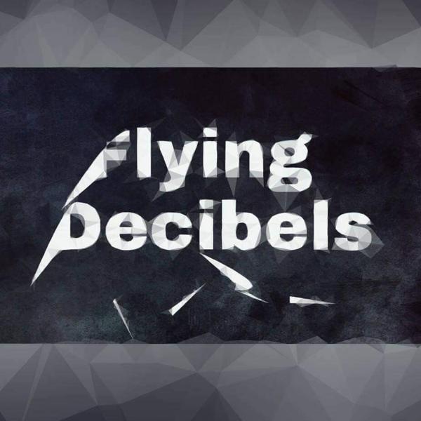 flying decibels