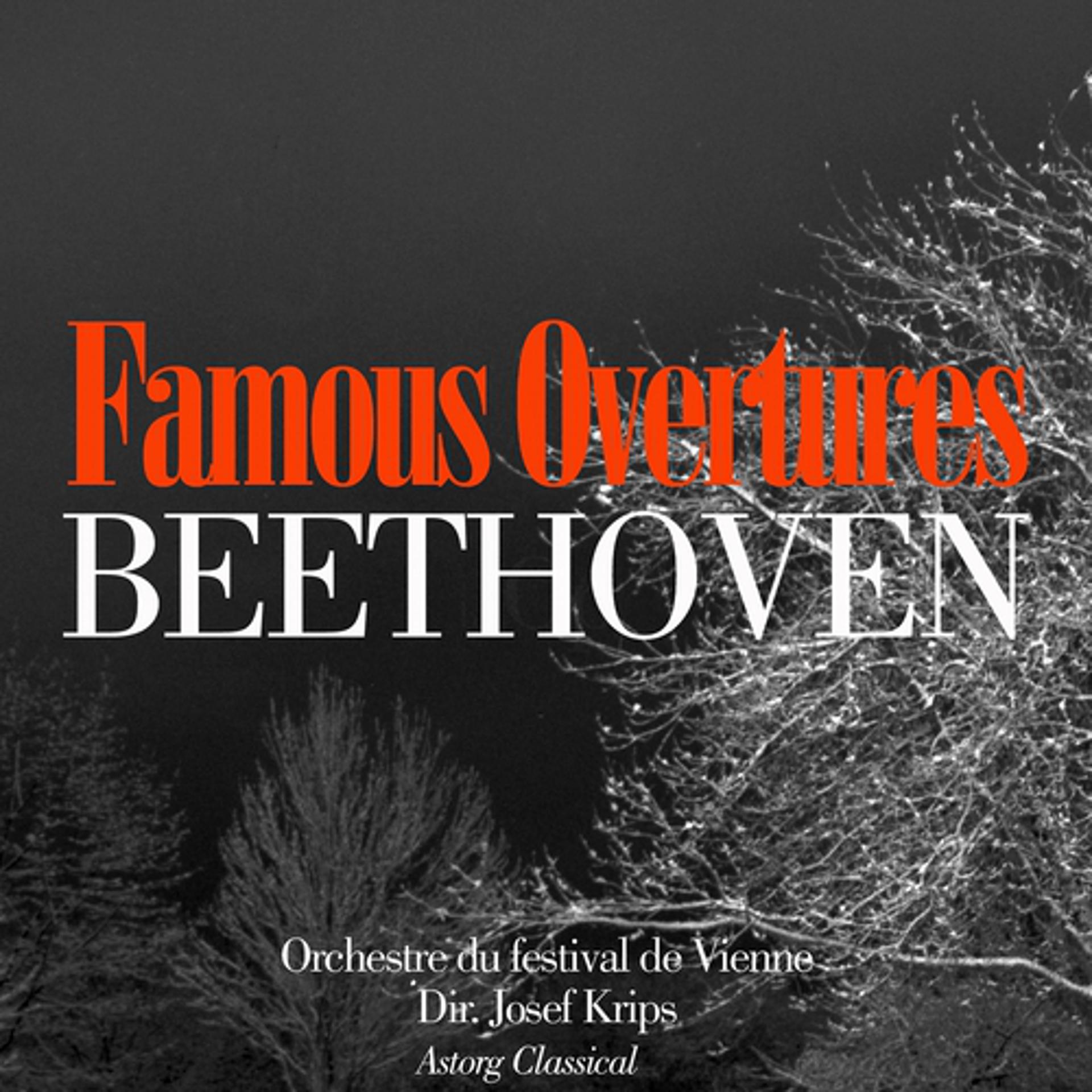 Постер альбома Beethoven : Famous Overtures