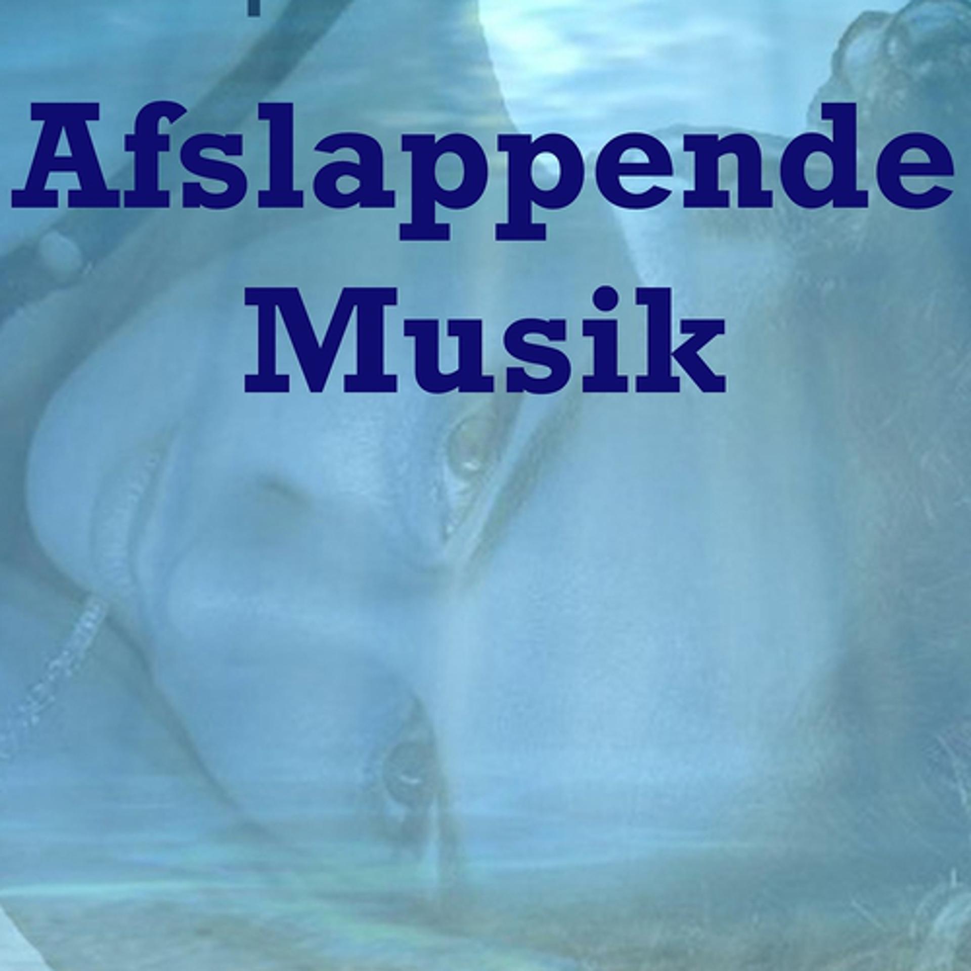 Постер альбома Afslappende musik