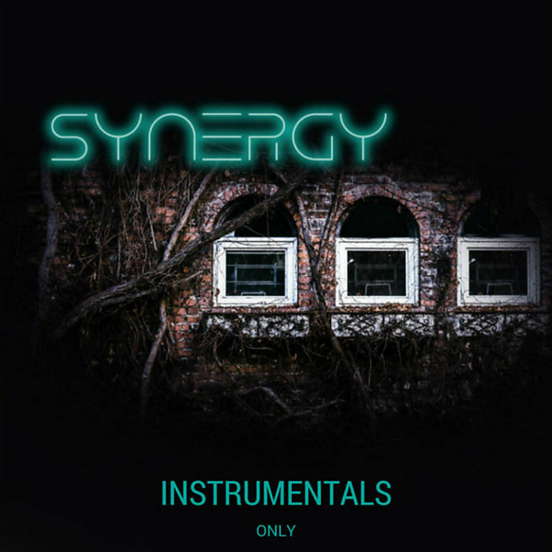 Постер альбома Synergy (Instrumentals)