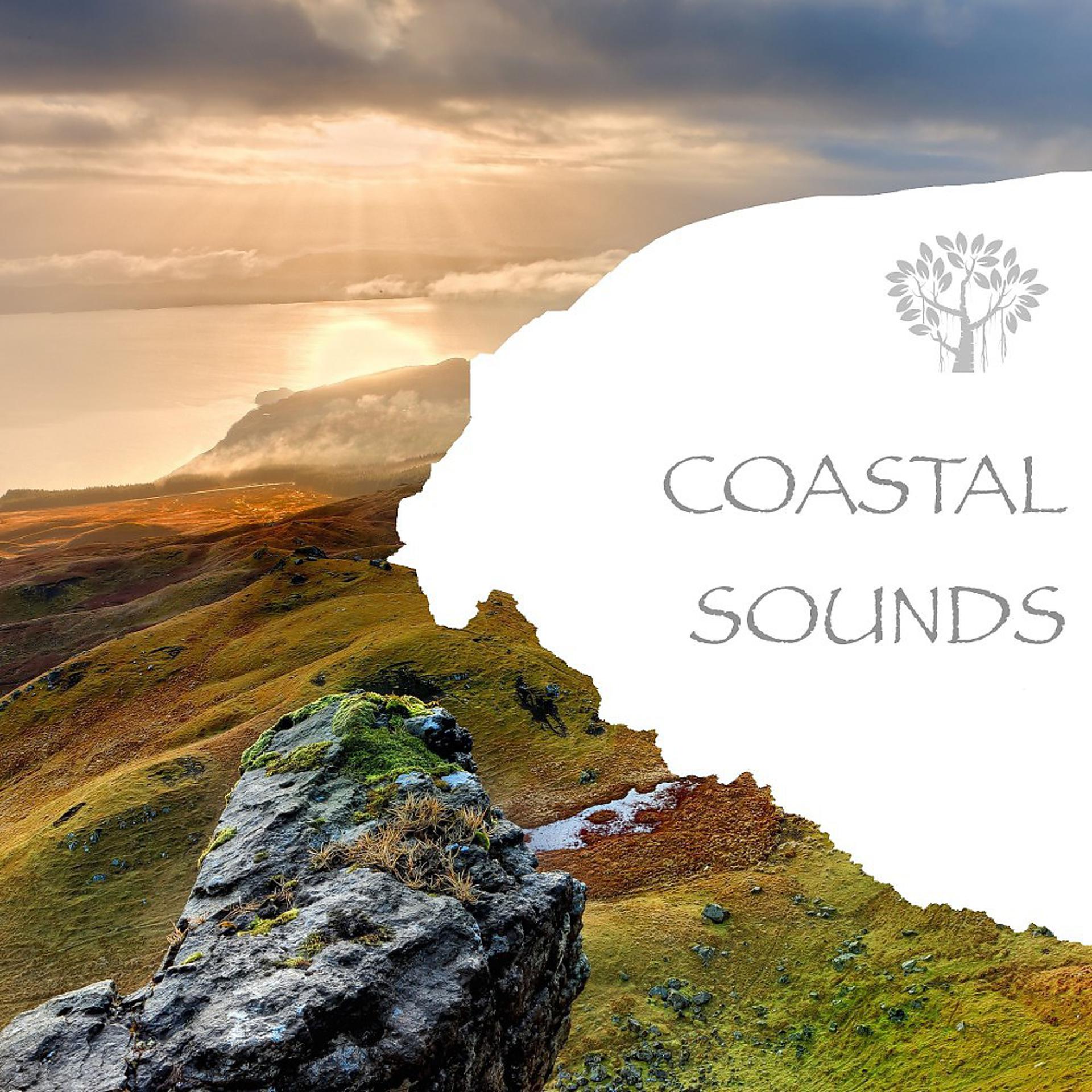 Постер альбома Coastal Sounds
