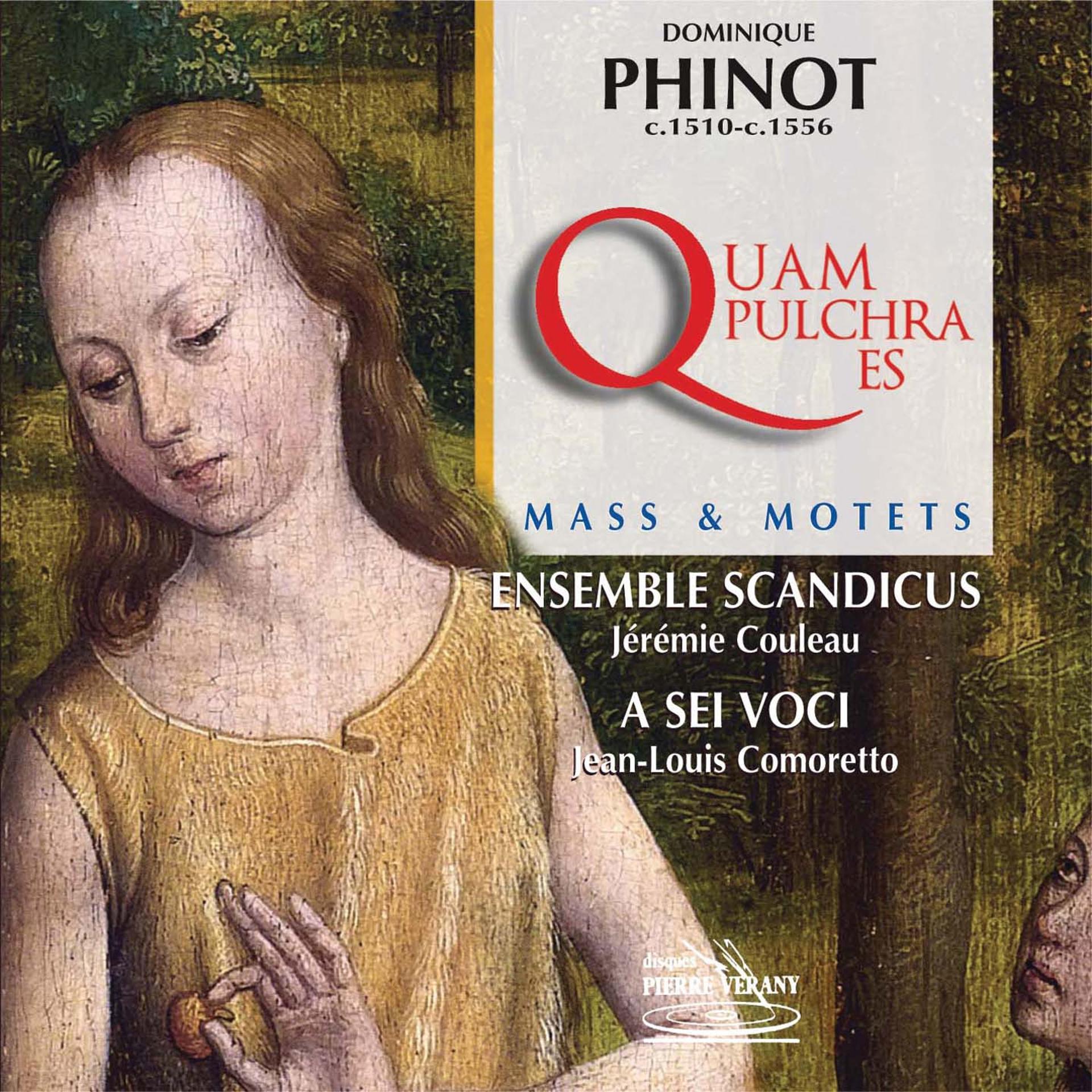 Постер альбома Dominique Phinot : Messe quam pulchra es & Motets