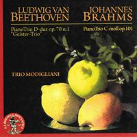 Постер альбома Ludwig van Beethoven : Piano Trio in D-dur, Op. 70, No. 1 'Geister Trio' - Johannes Brahms : Piano Trio in C moll, Op. 101