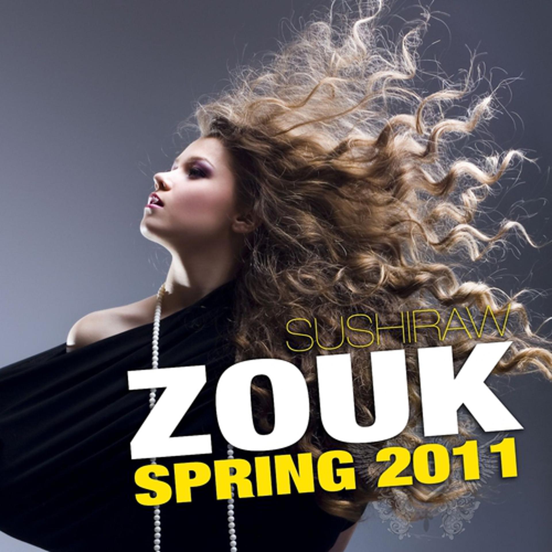 Постер альбома Zouk Spring 2011