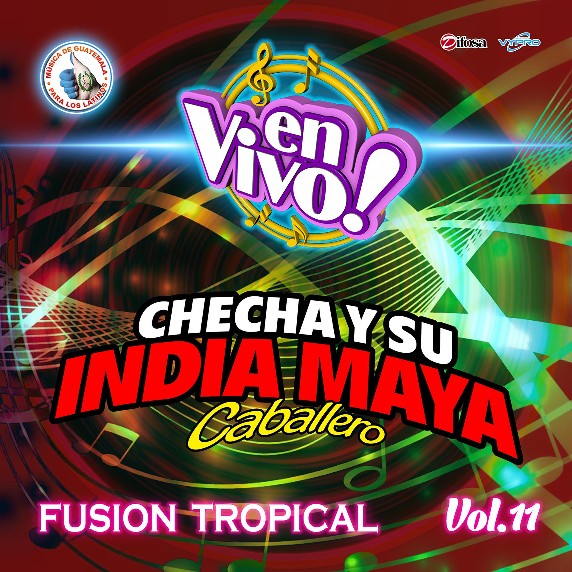 Постер альбома Fusión Tropical, Vol. 11. Música de Guatemala para los Latinos (En Vivo)