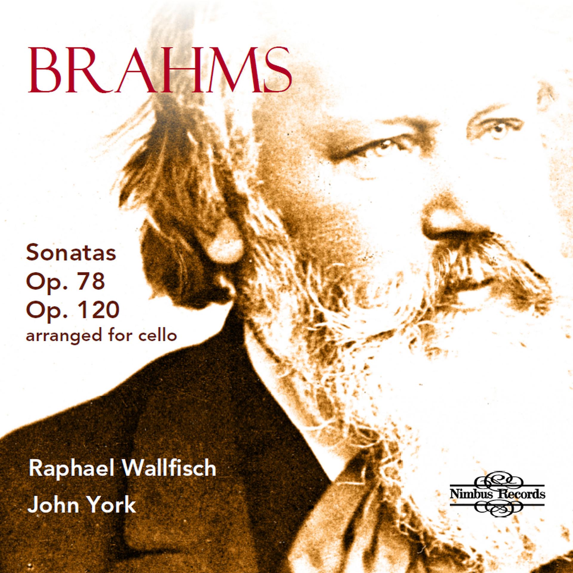 Постер альбома Brahms: Cello Sonatas Vol. 2