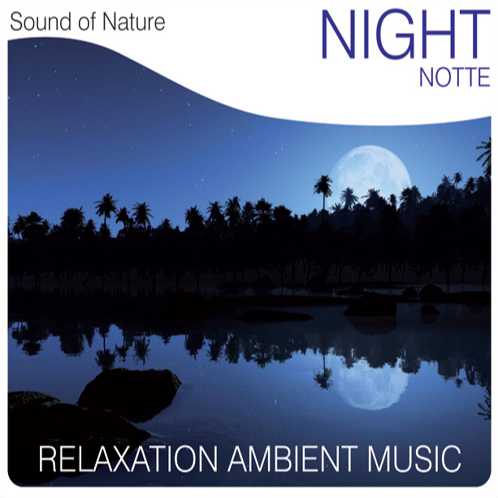 Постер альбома Night (Notte)