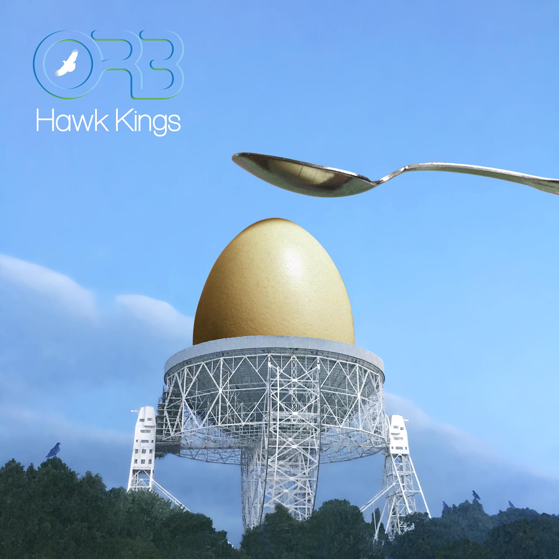 Постер альбома Hawk Kings - Oseberg Buddhas Buttonhole