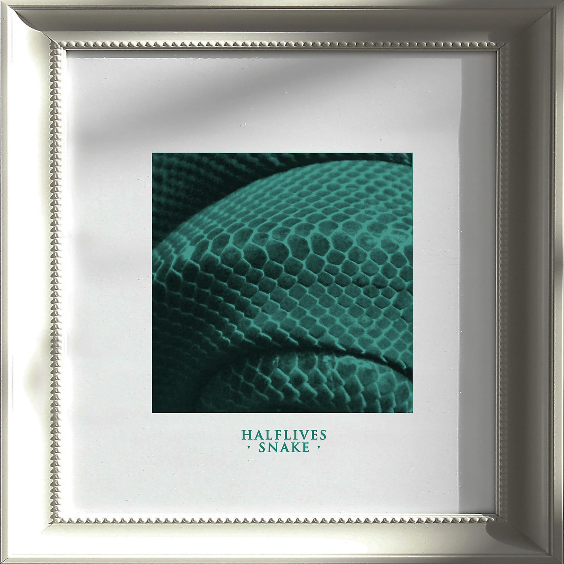 Постер альбома Snake