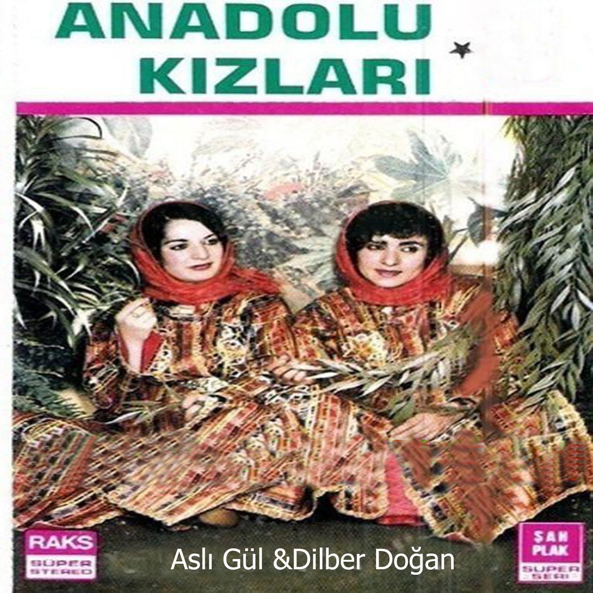 Постер альбома Anadolu Kızları
