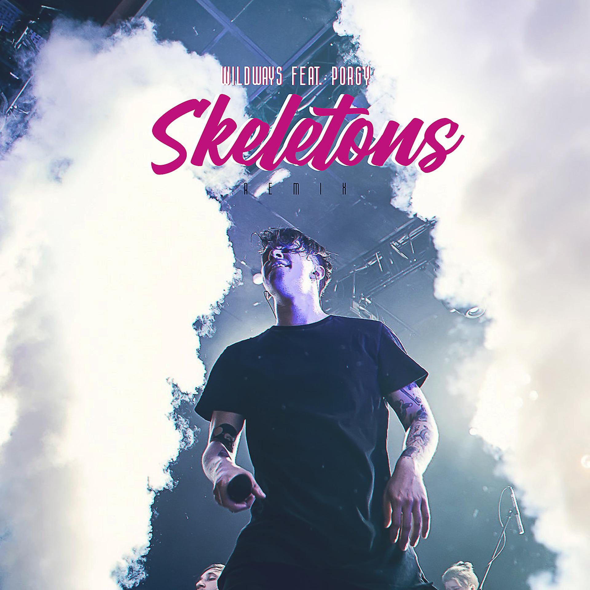 Постер альбома Skeletons (Remix)