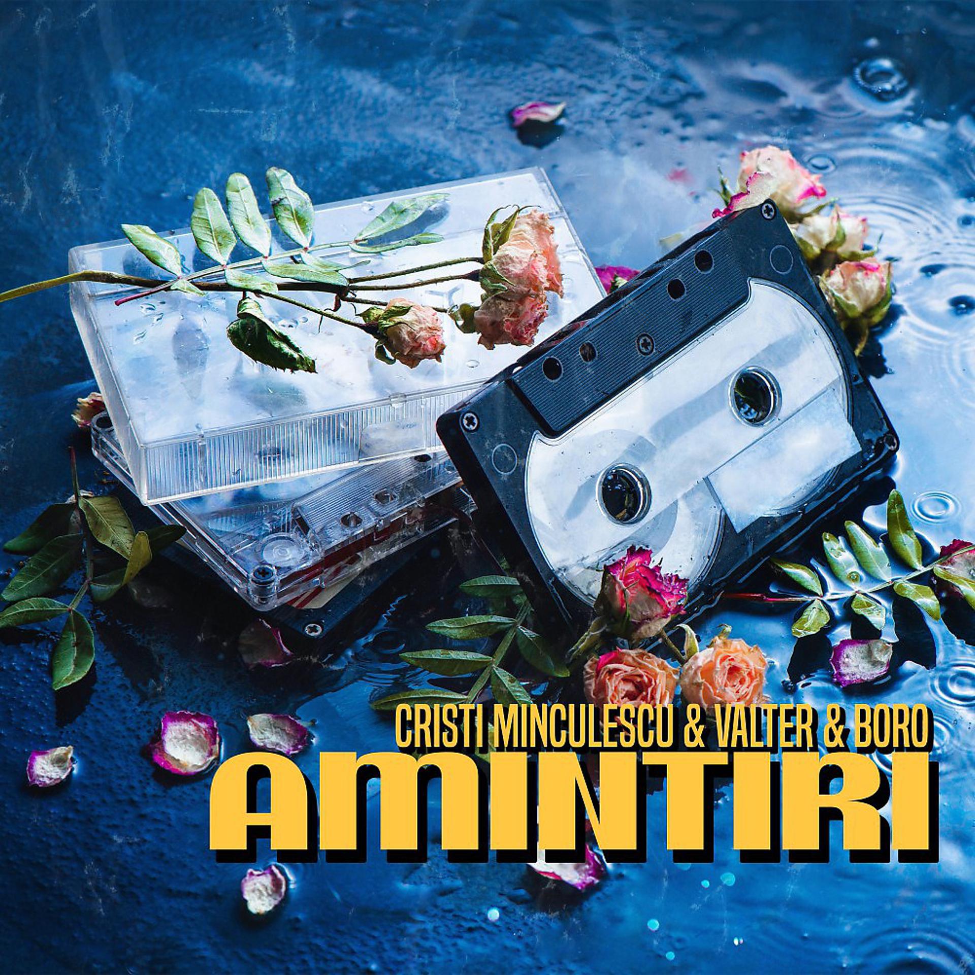 Постер альбома Amintiri