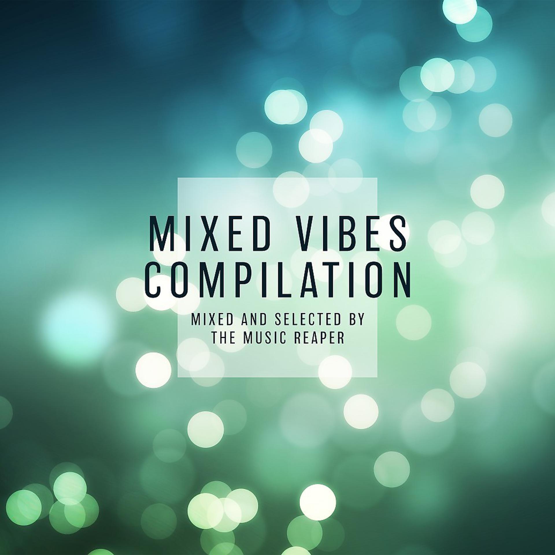 Постер альбома Mixed Vibes Compilation