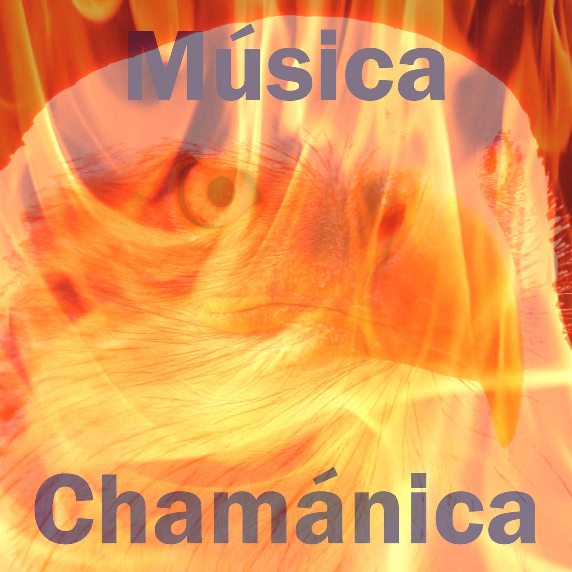 Постер альбома Música Chamánica