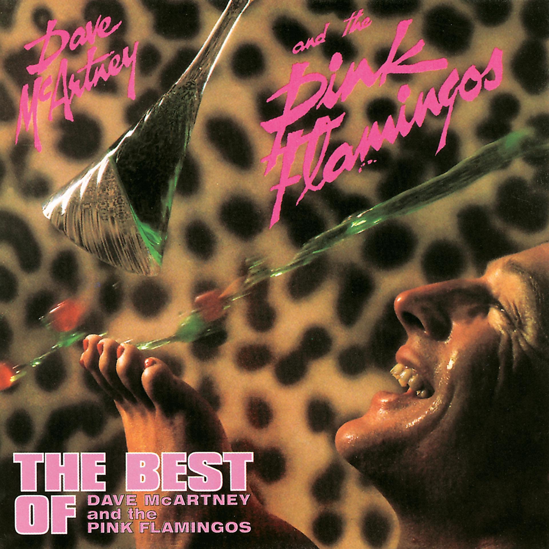Постер альбома The Best of Dave McArtney and The Pink Flamingos