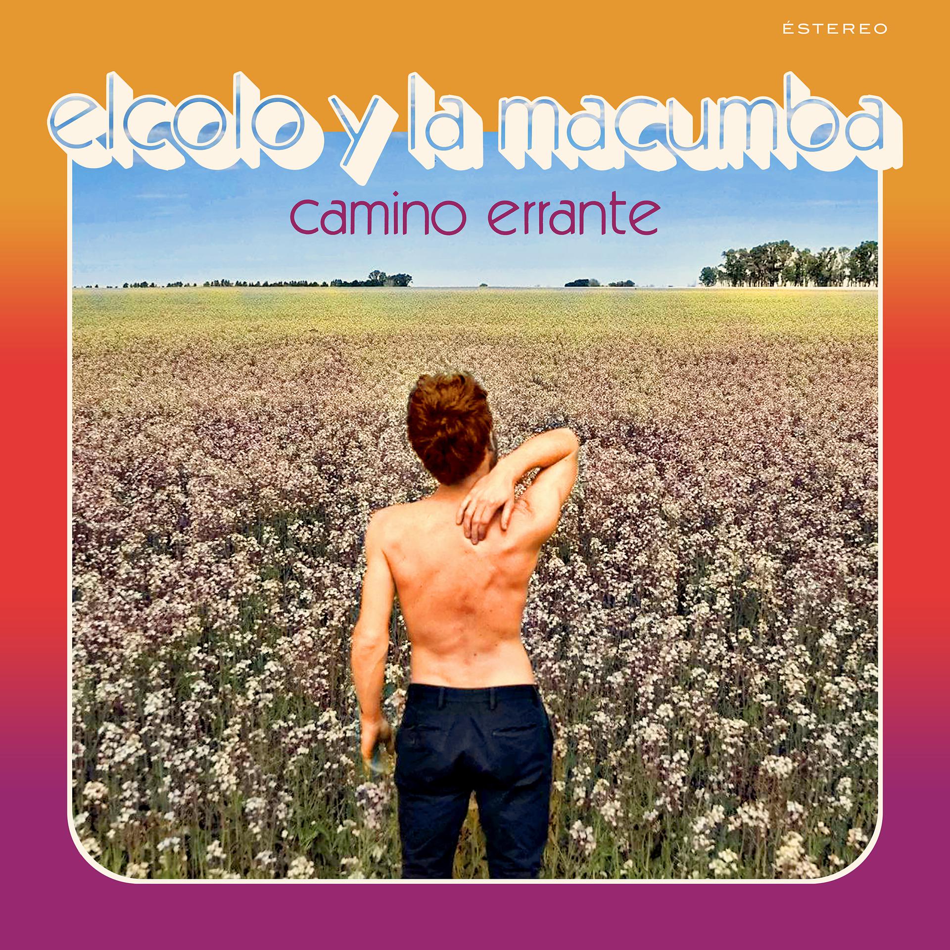 Постер альбома Camino Errante