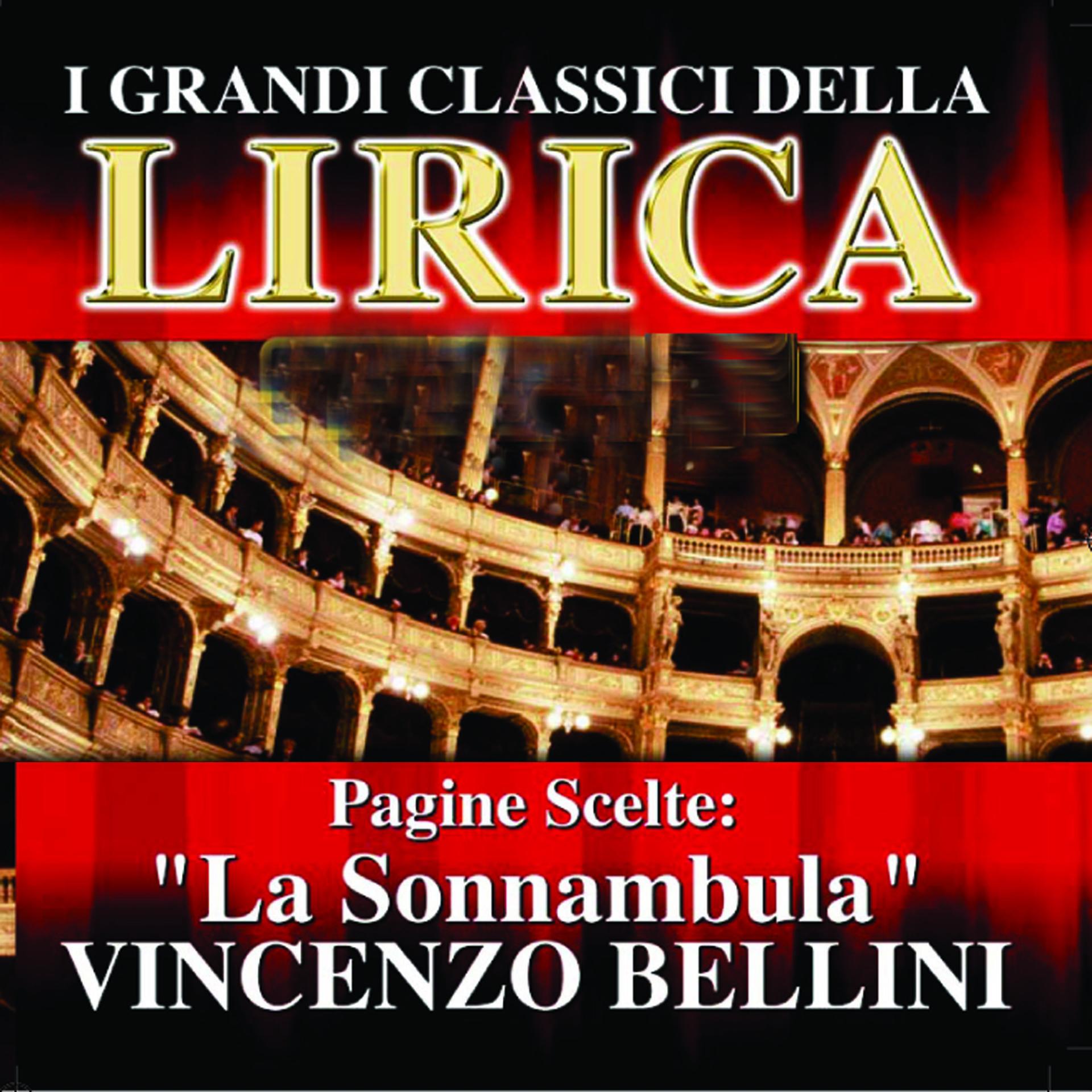 Постер альбома Vincenzo Bellini : La Sonnambula, Pagine scelte