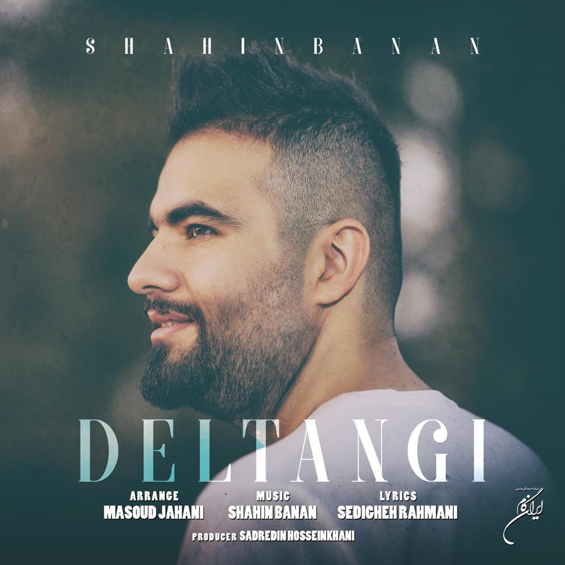 Постер к треку Shahin Banan - Deltangi - Shahin Banan