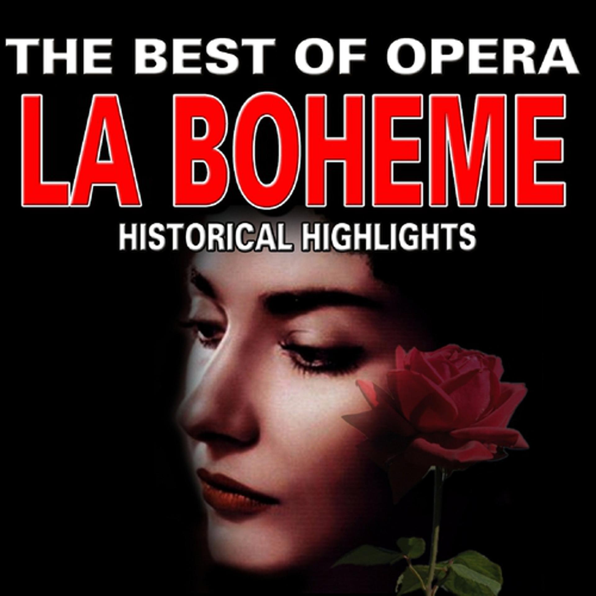 Постер альбома The Best Of Opera : La Boheme