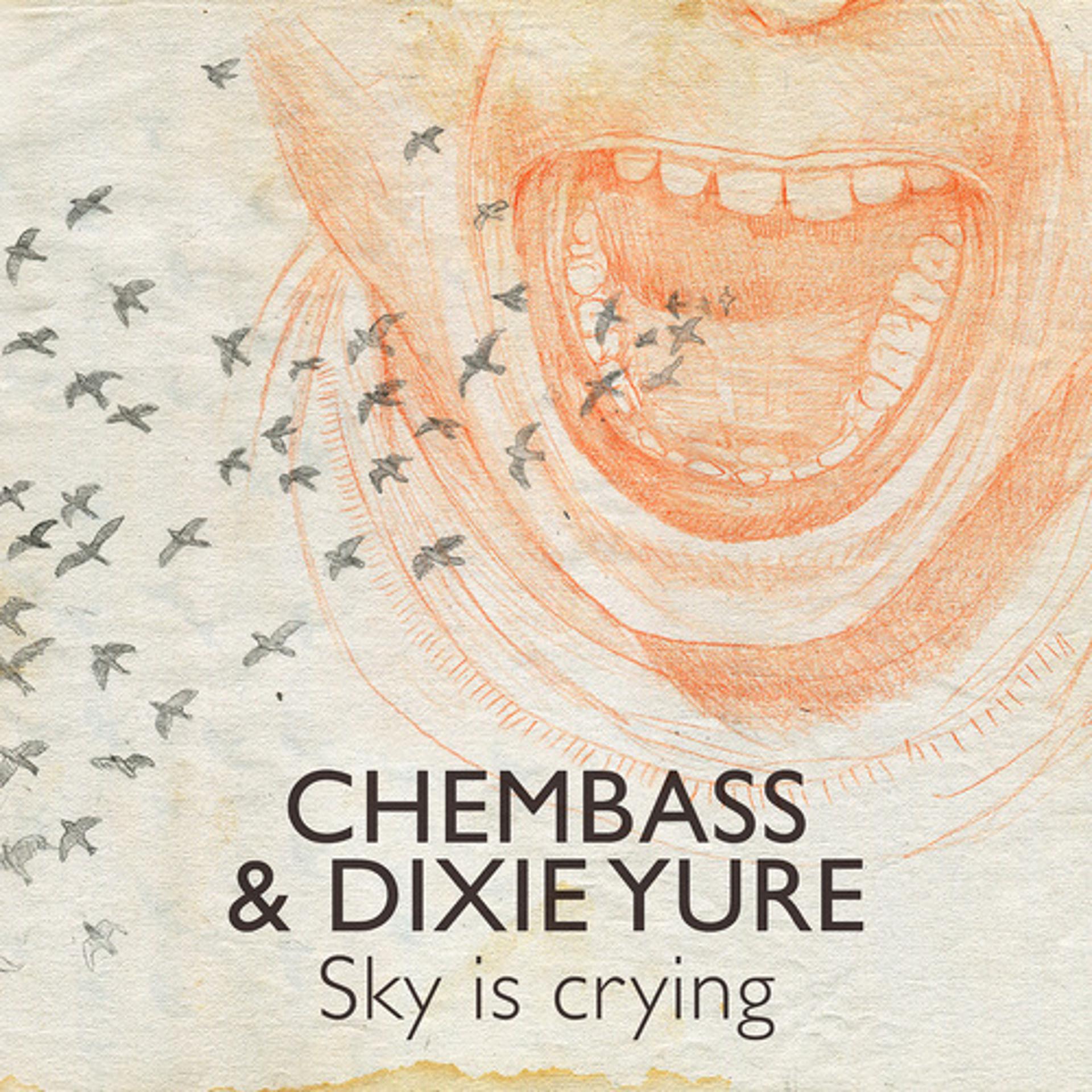 Постер альбома Sky is crying