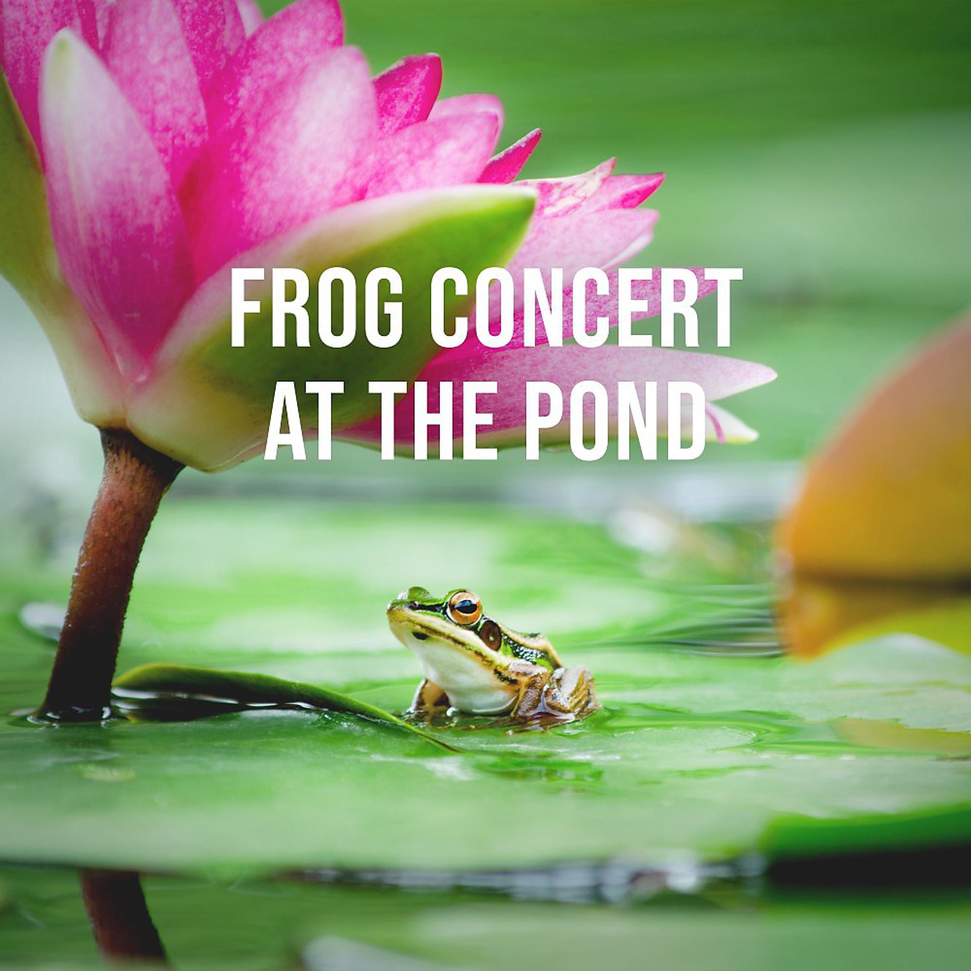 Постер альбома Frog Concert at the Pond: Calming Nature Sounds for the Stressed City Life