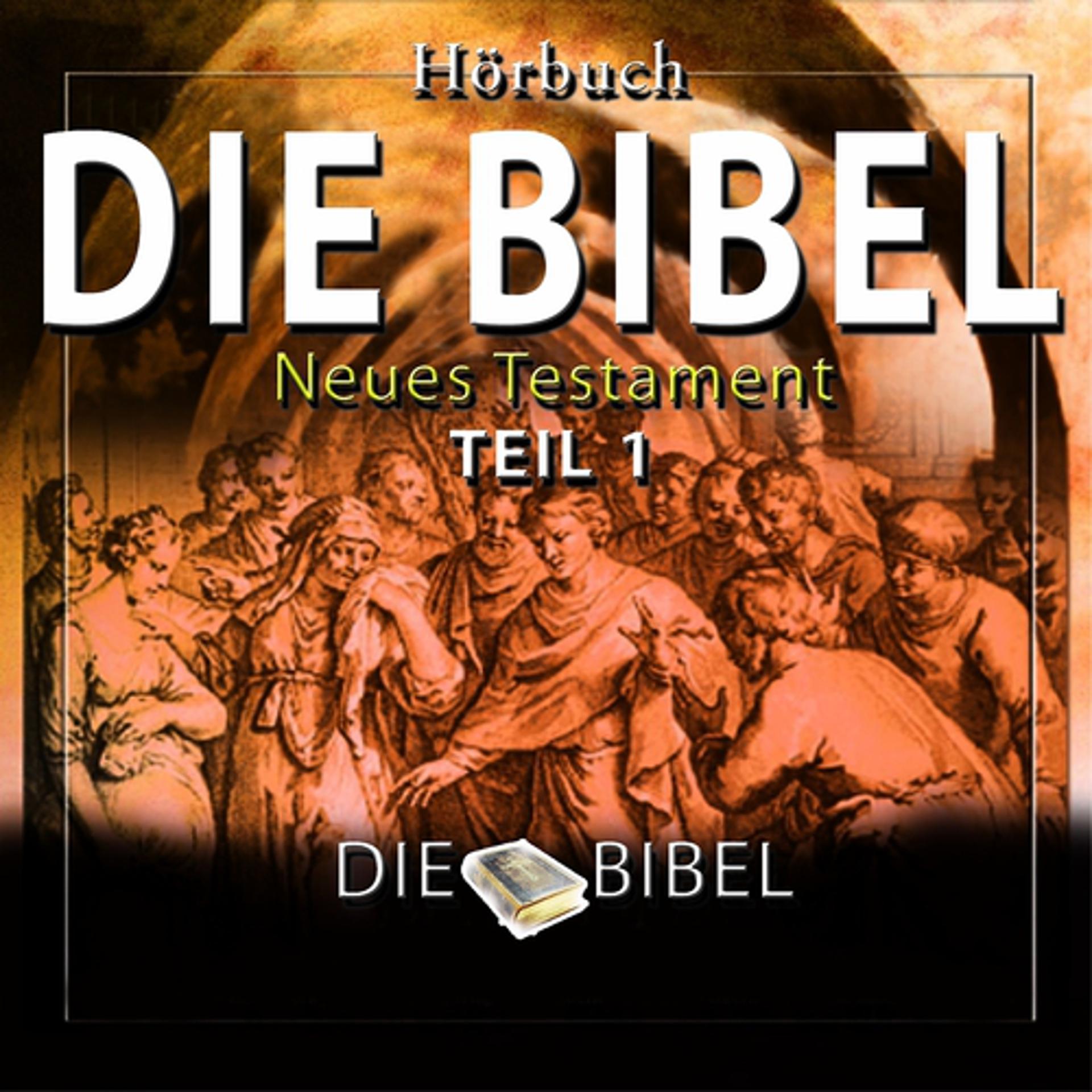 Постер альбома Die Bibel : Das Neue Testament, Teil 1 (Kapitel 1)