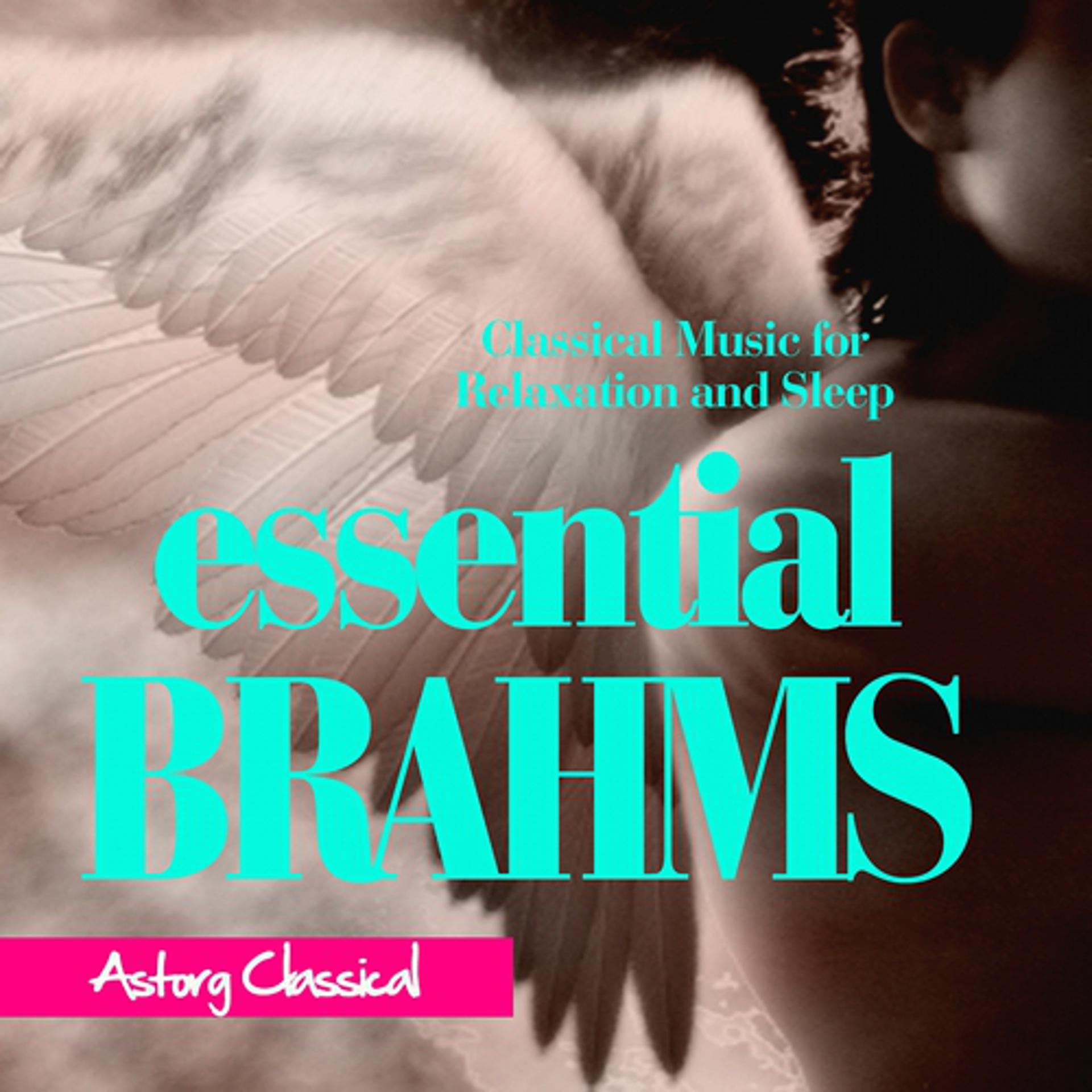 Постер альбома Essential Brahms