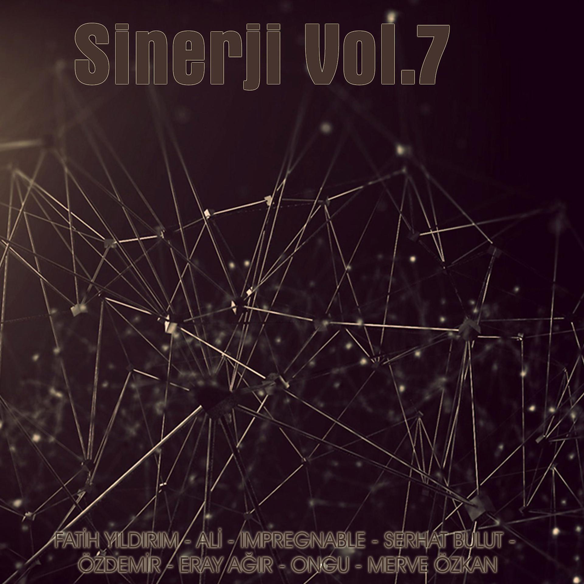 Постер альбома Sinerji, Vol.7