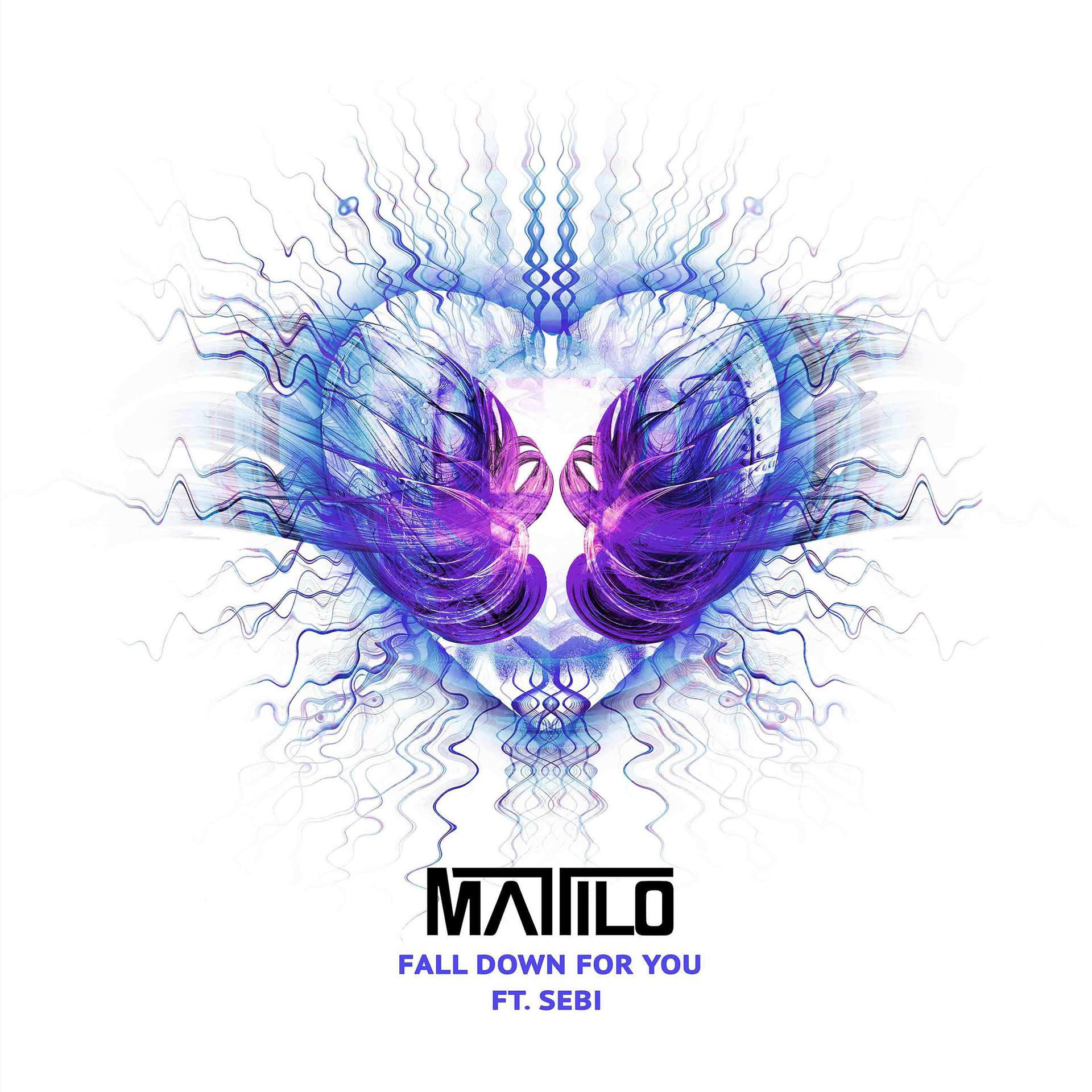Постер альбома Fall Down For You (feat. Sebi)