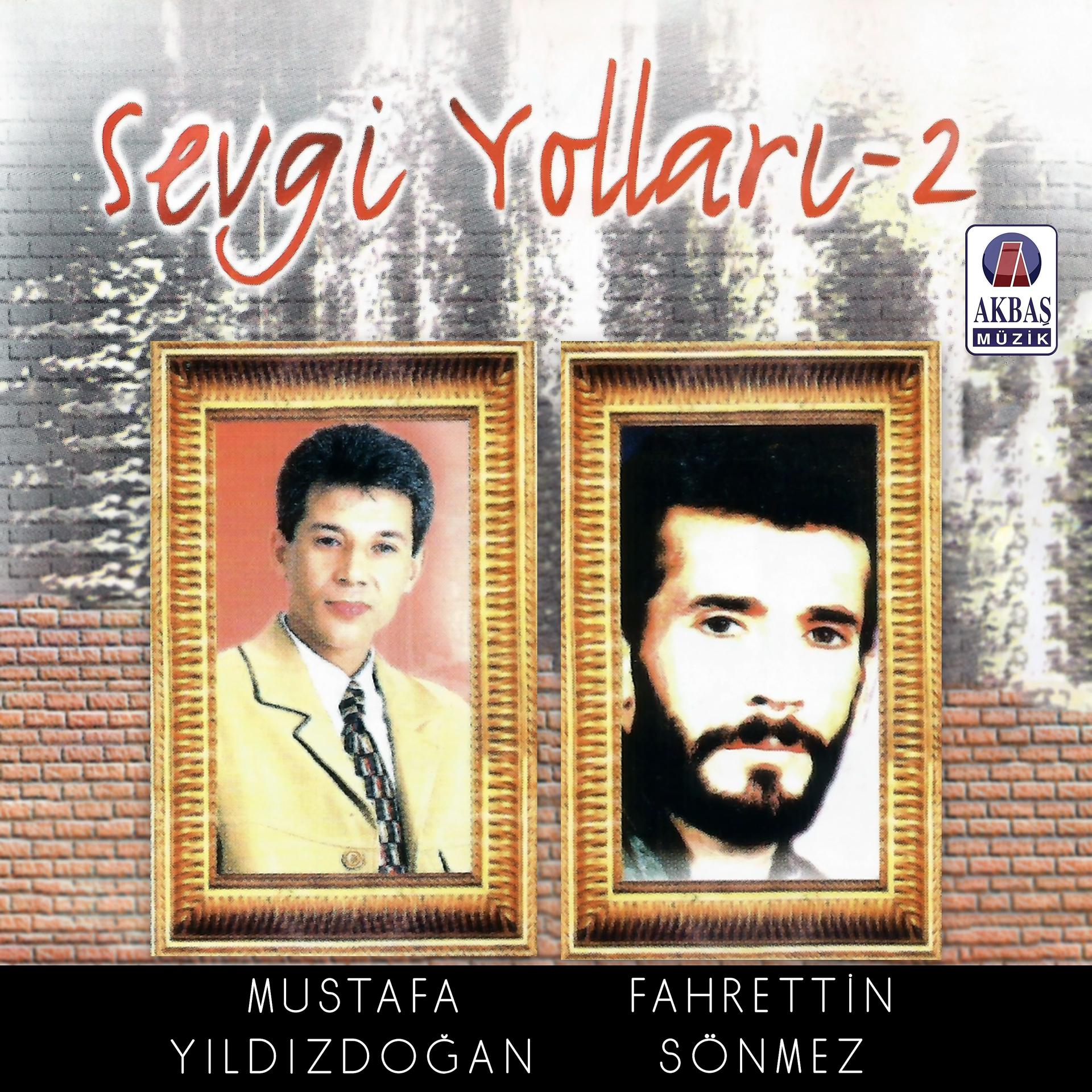 Постер альбома Sevgi Yolları, Vol.2