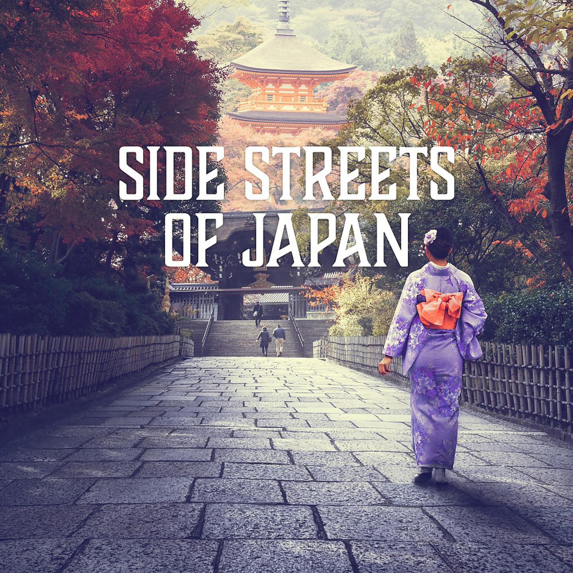 Постер альбома Side Streets of Japan (All About Techno)