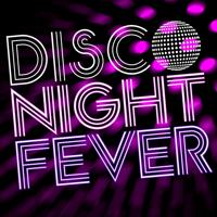 Постер альбома Disco Night Fever