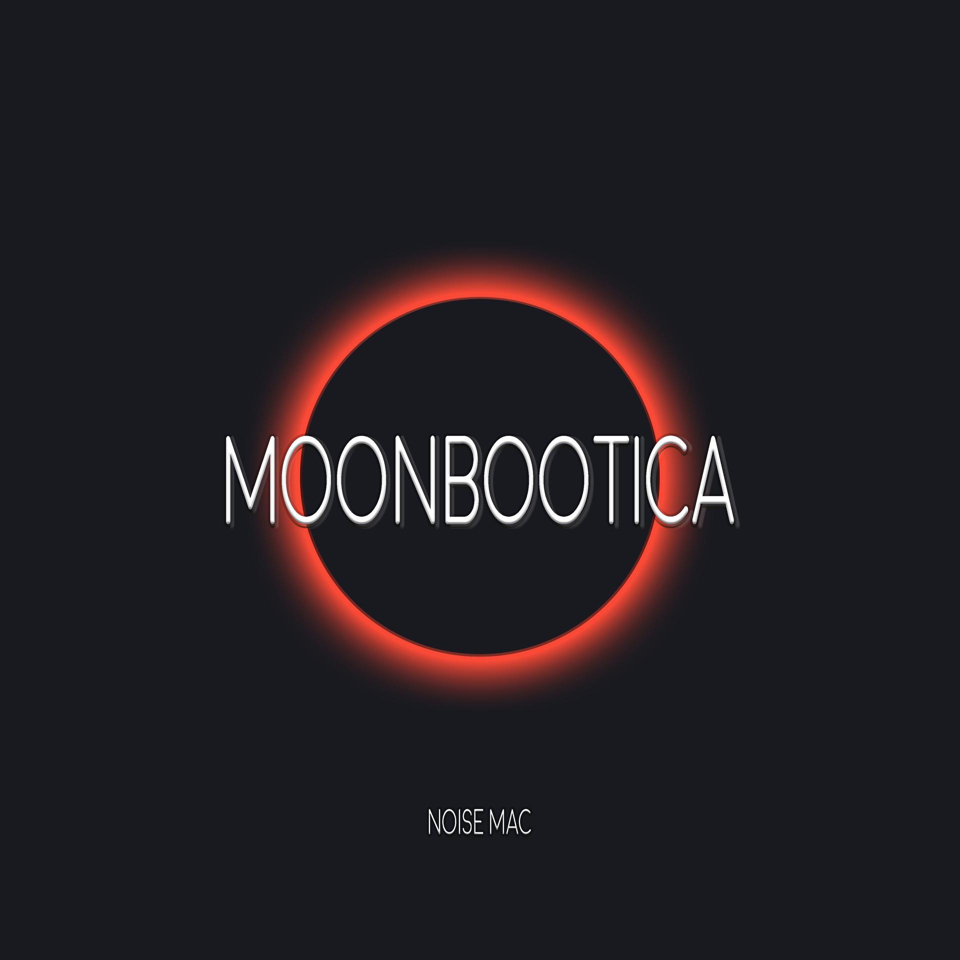 Постер альбома Moonbootica