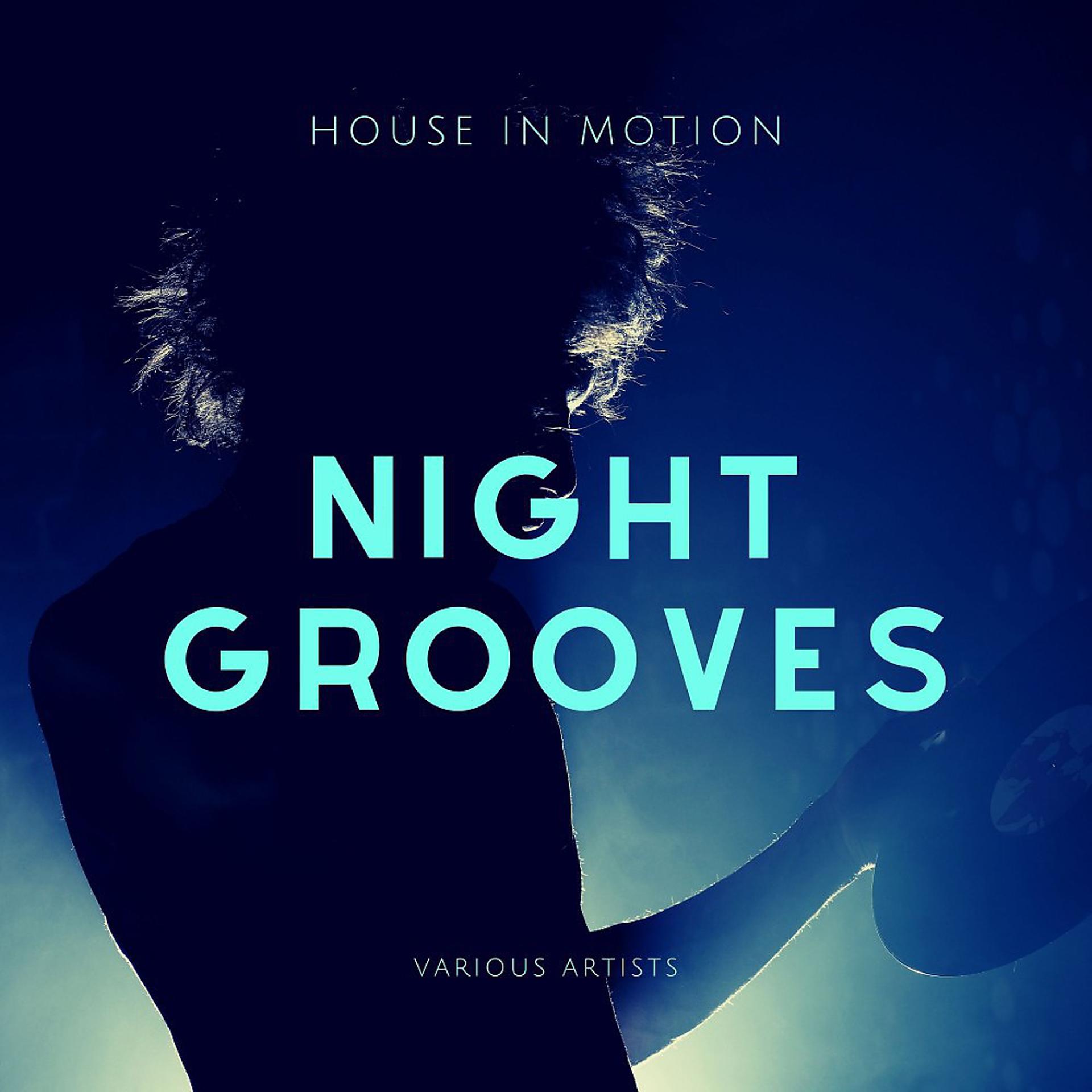 Постер альбома Night Groovers (House in Motion)
