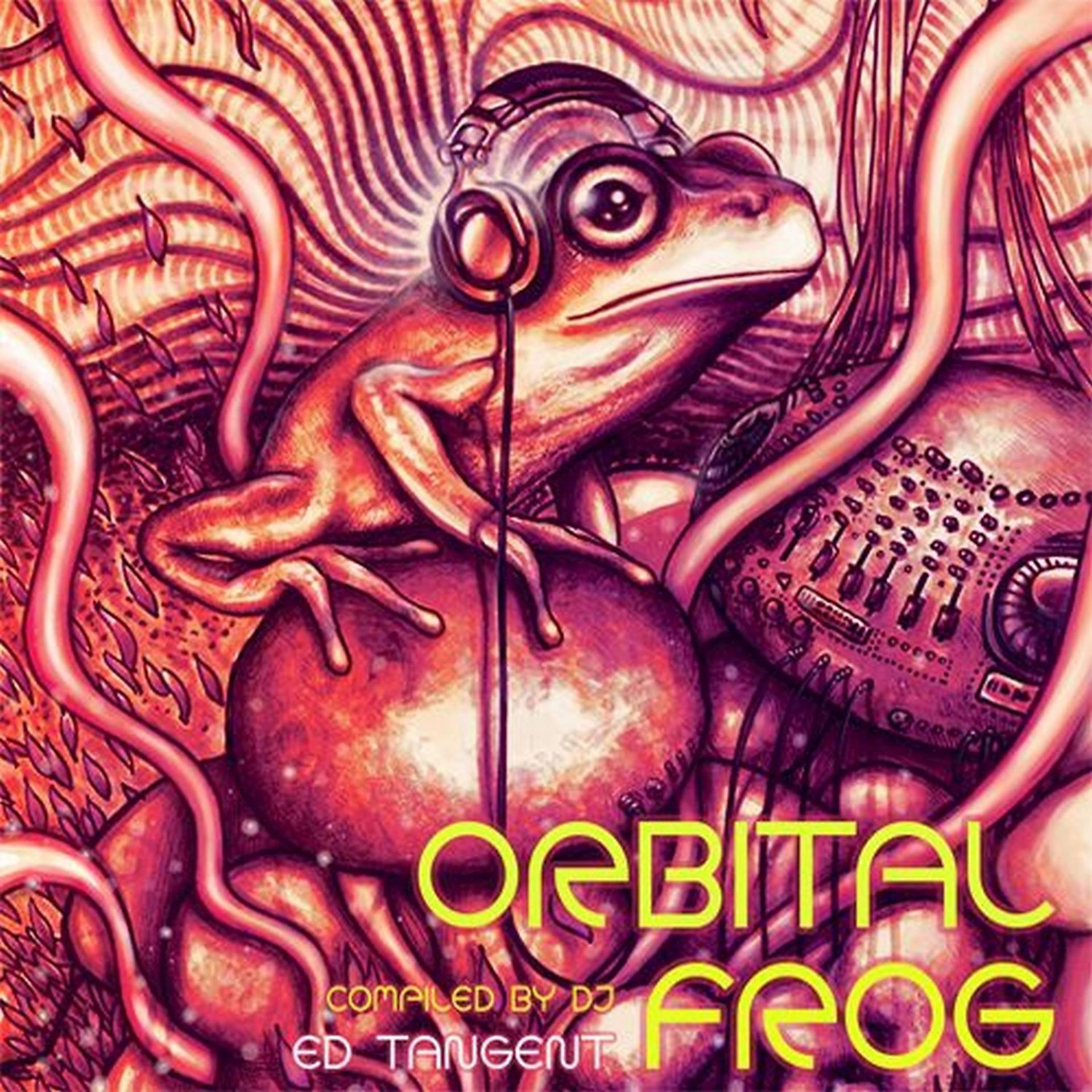 Постер альбома Orbital Frog