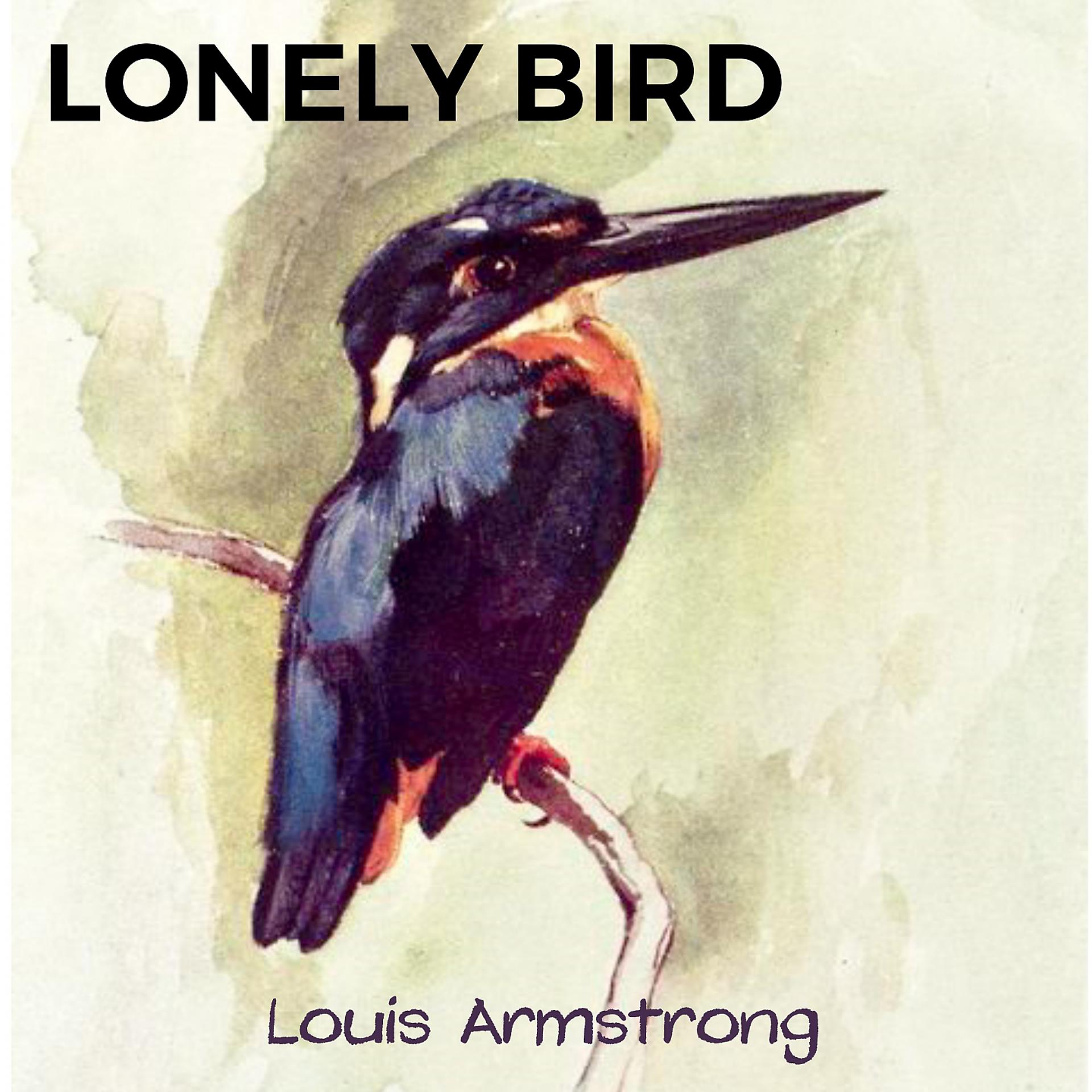 Постер альбома Lonely Bird