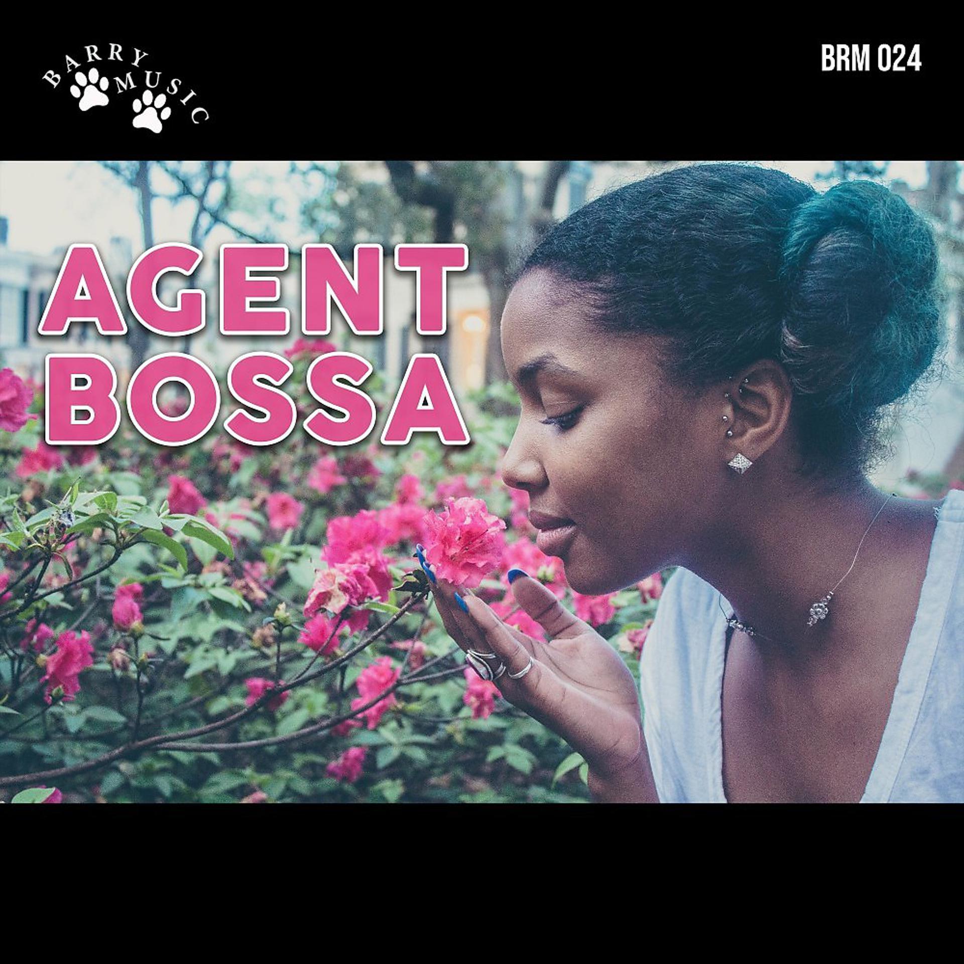 Постер альбома Agent Bossa