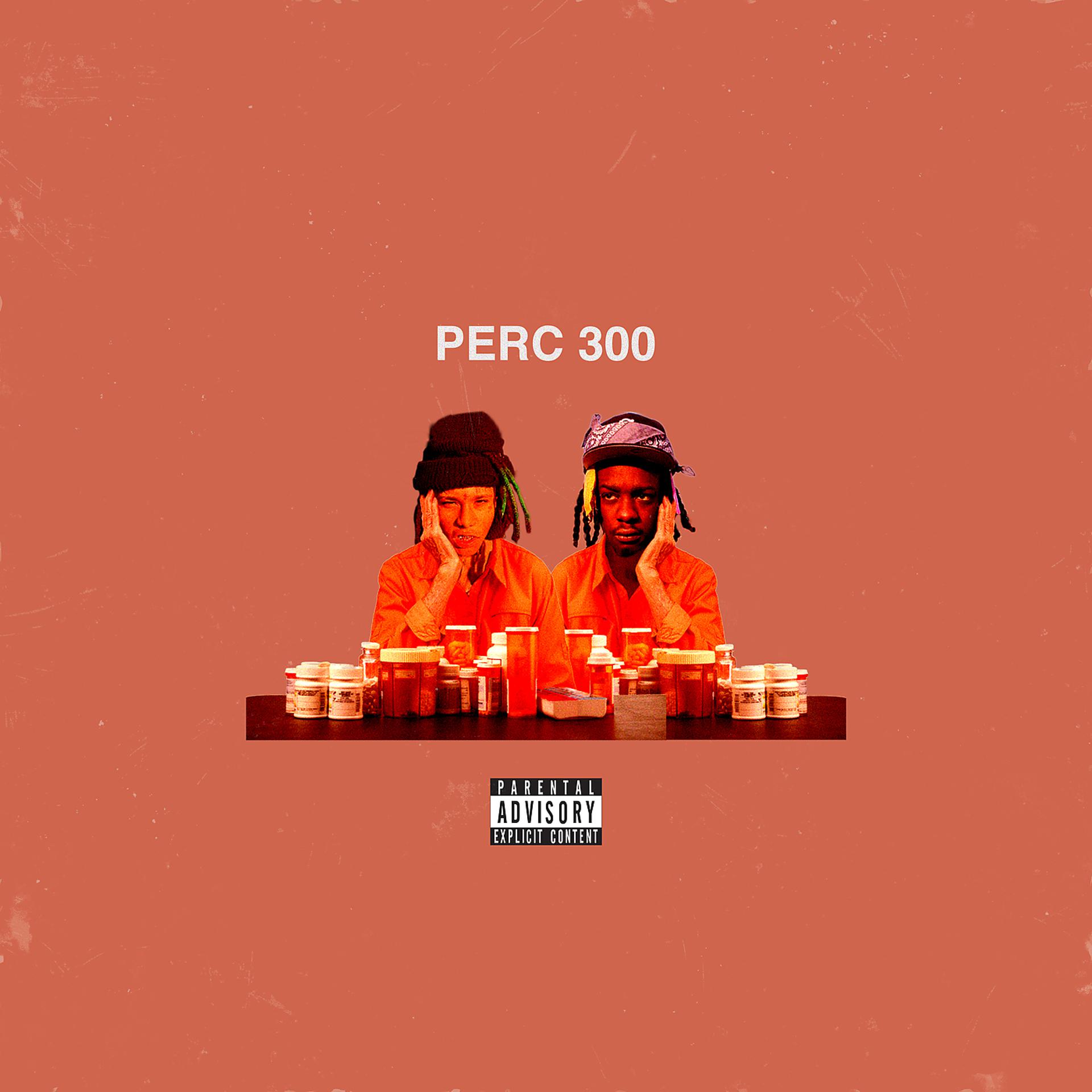 Постер альбома Perc 300