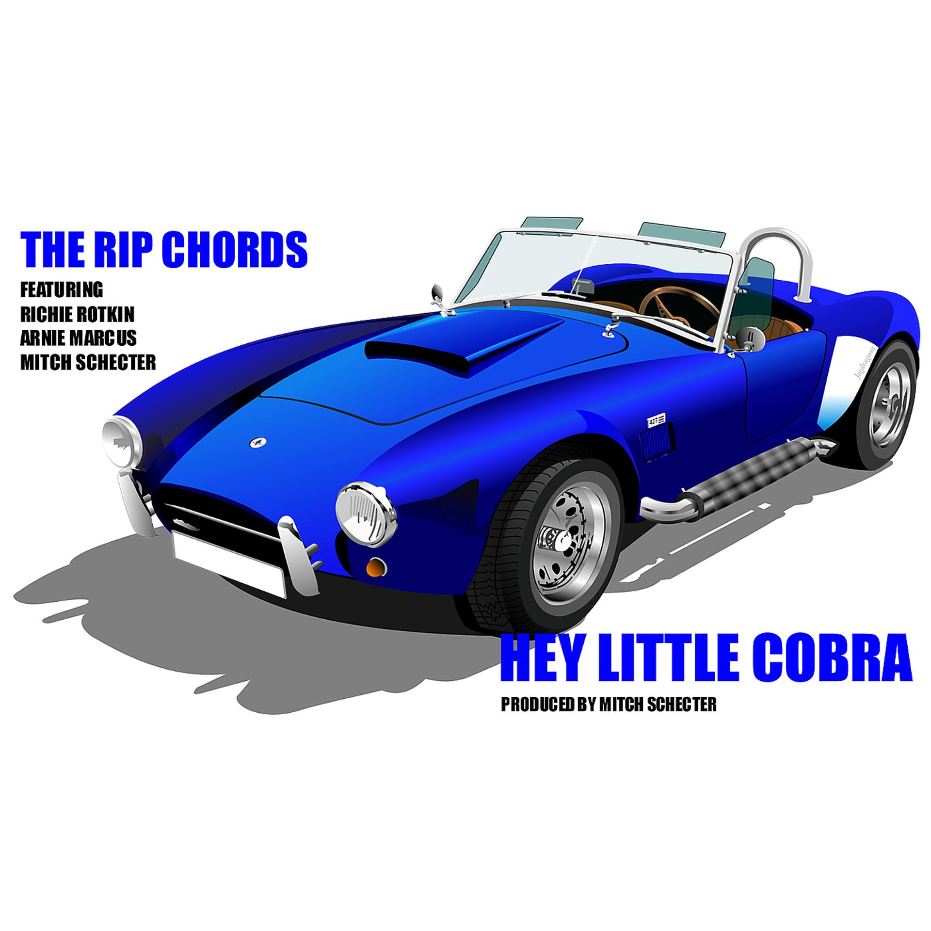 Постер альбома Hey Little Cobra