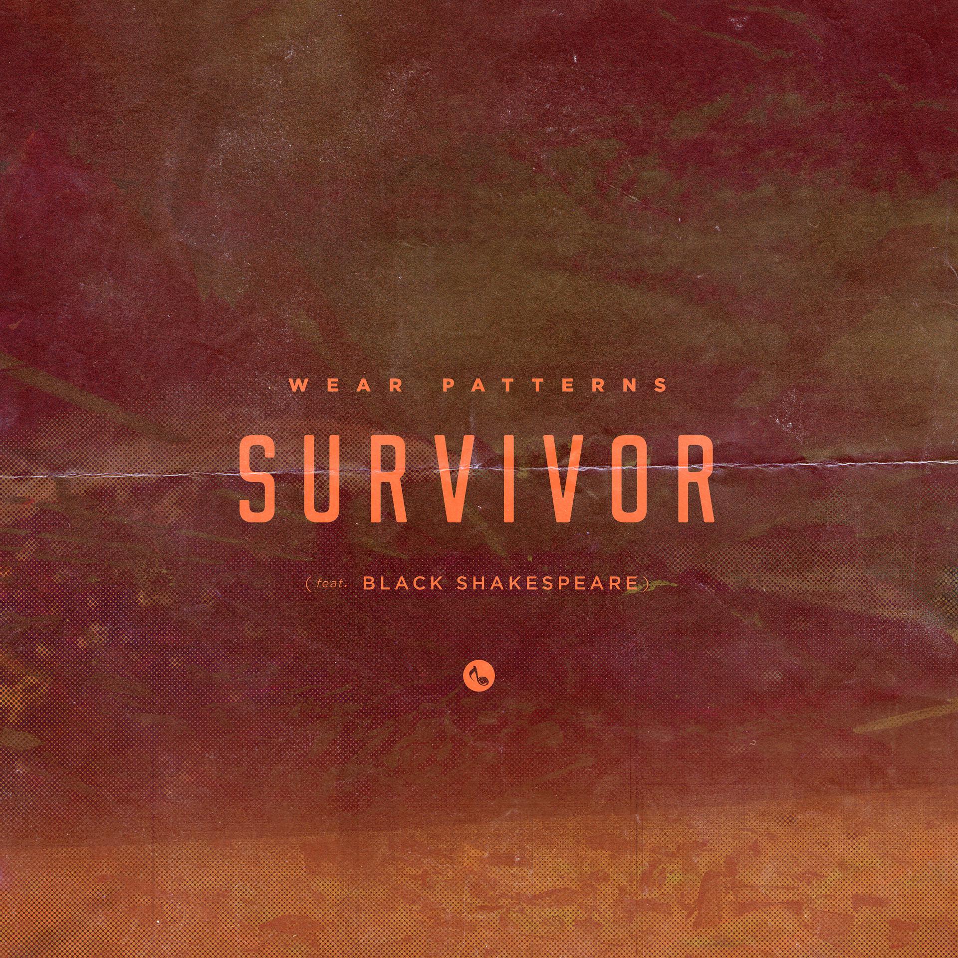 Постер альбома Survivor