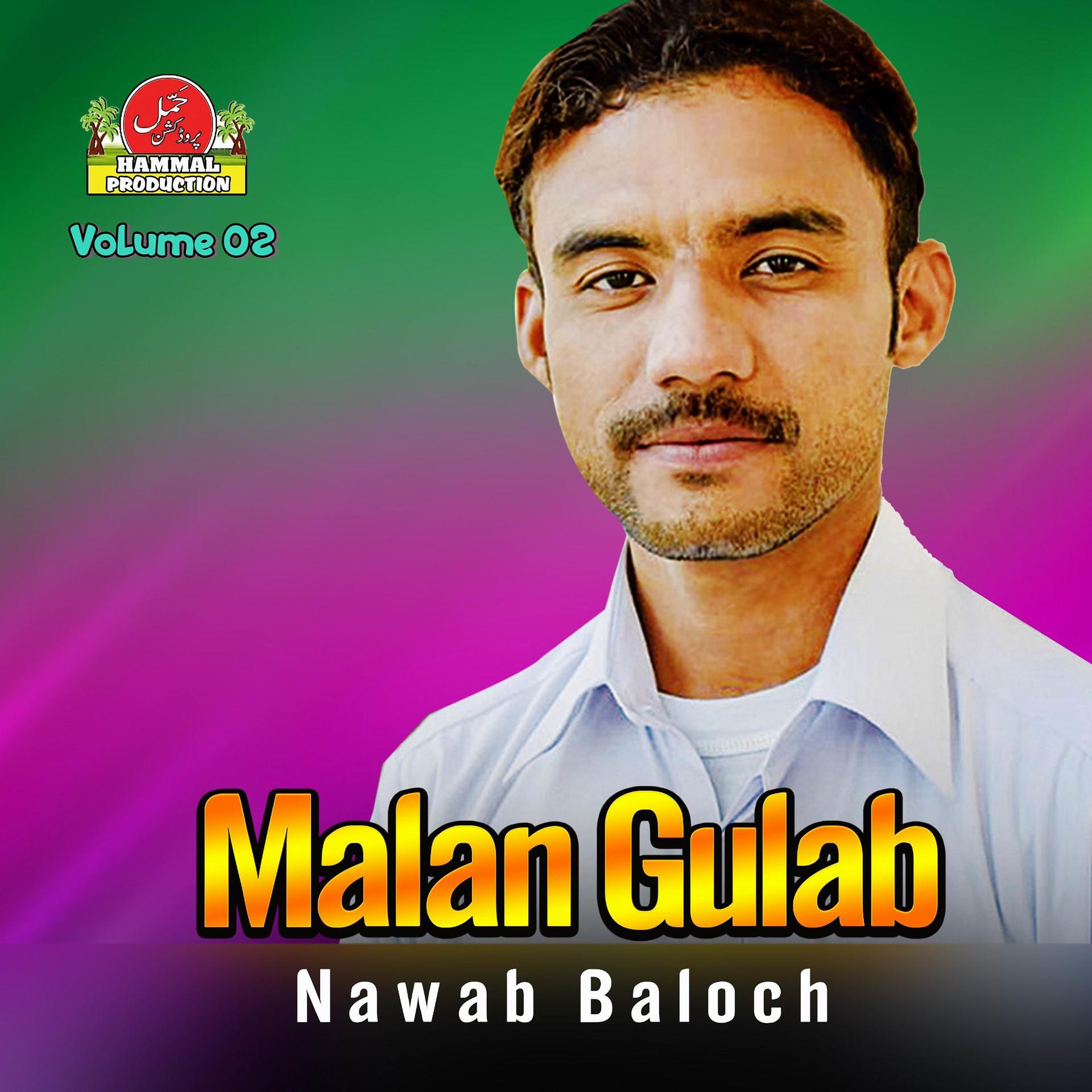 Постер альбома Malan Gulab, Vol. 02