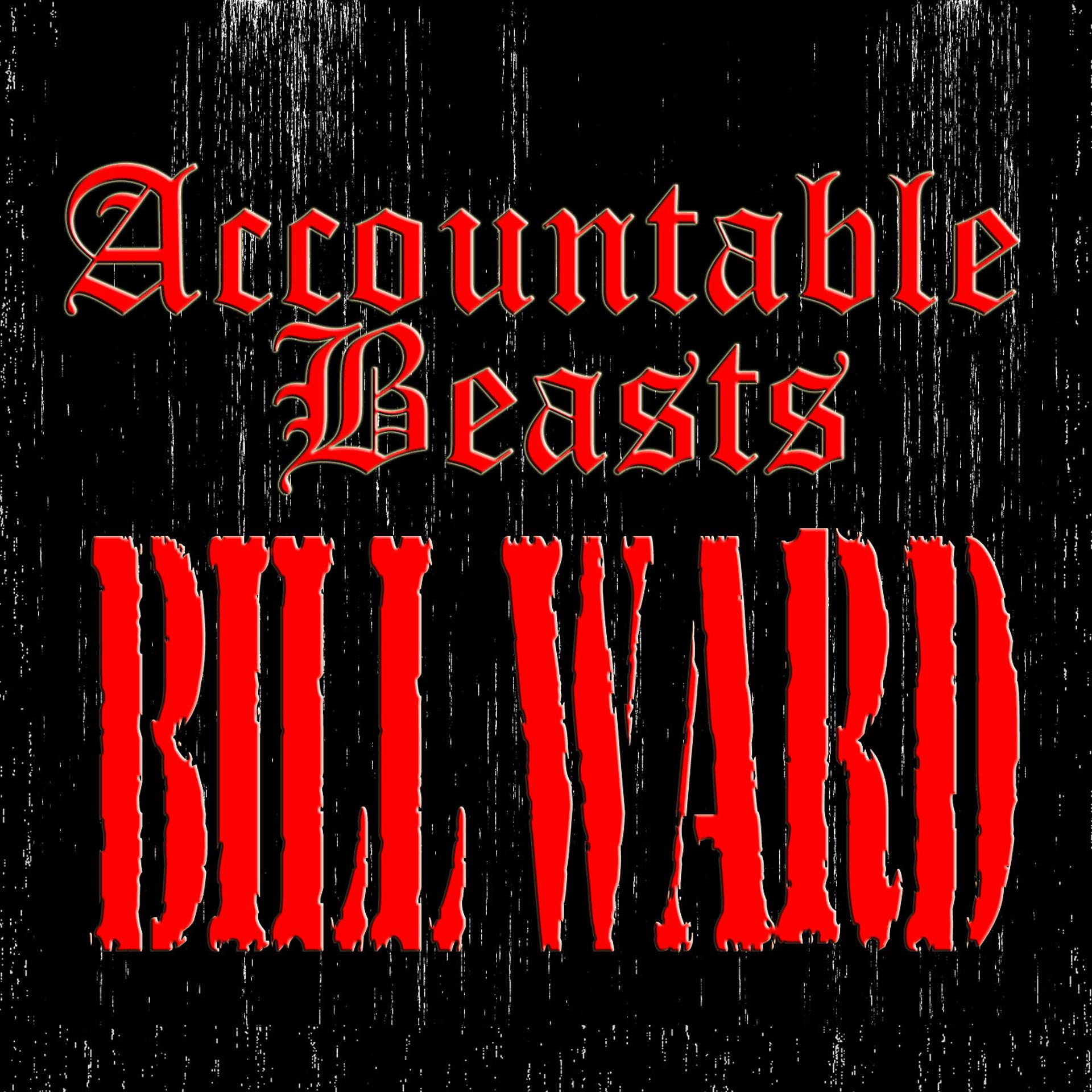 Постер альбома Accountable Beasts