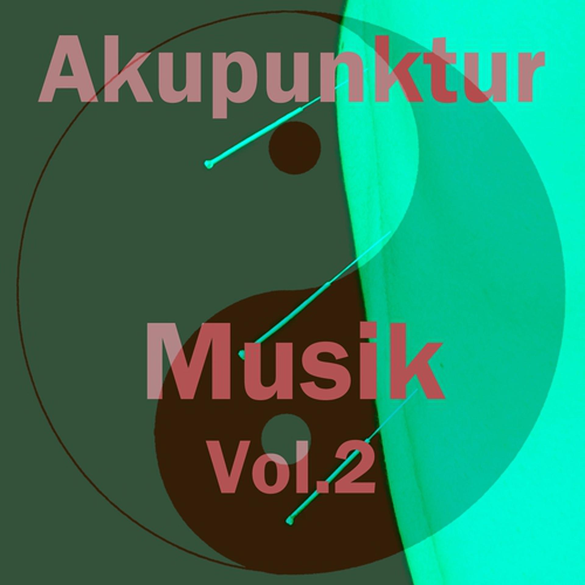 Постер альбома Akupunktur musik, vol. 2